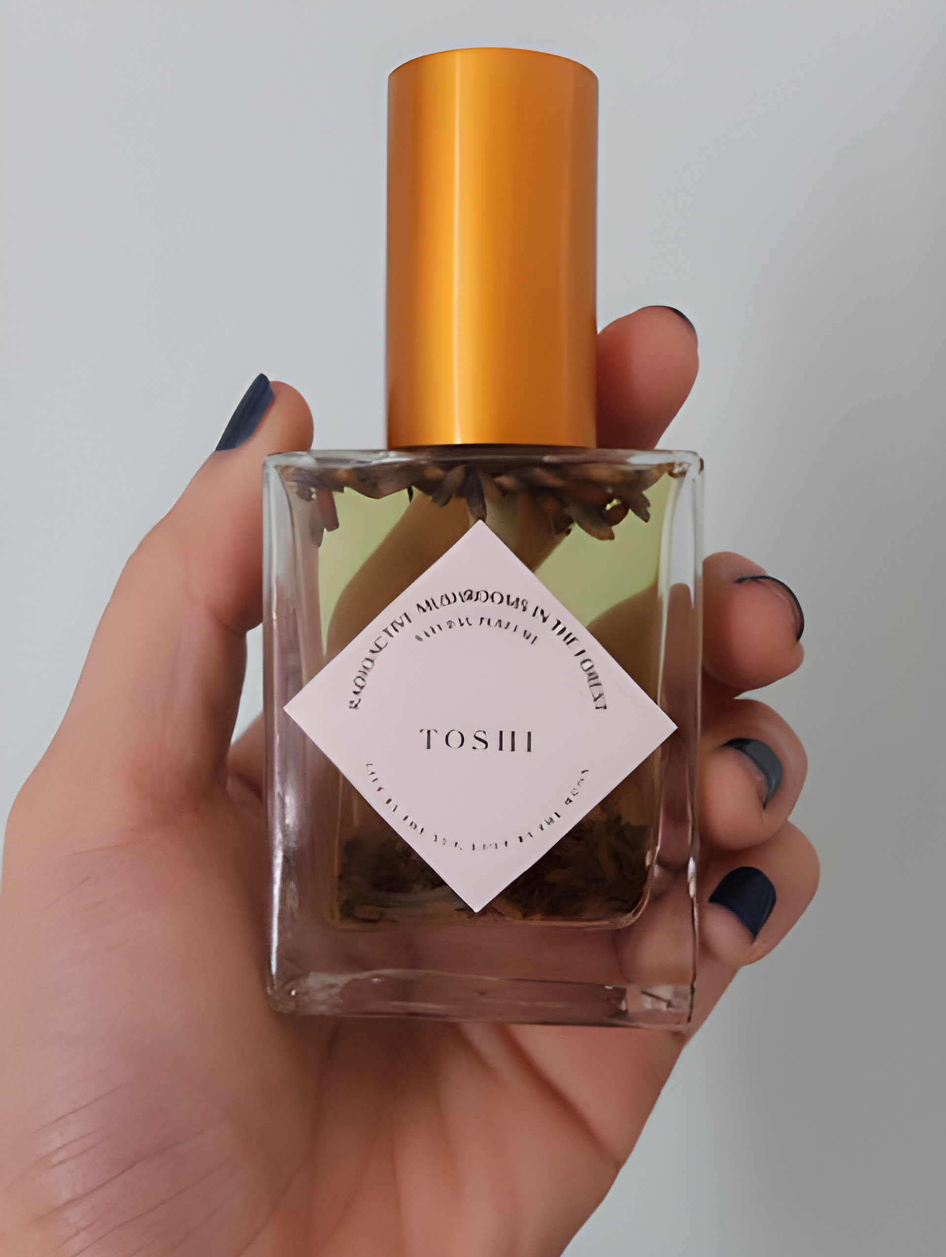 Picture of Toshi fragrance