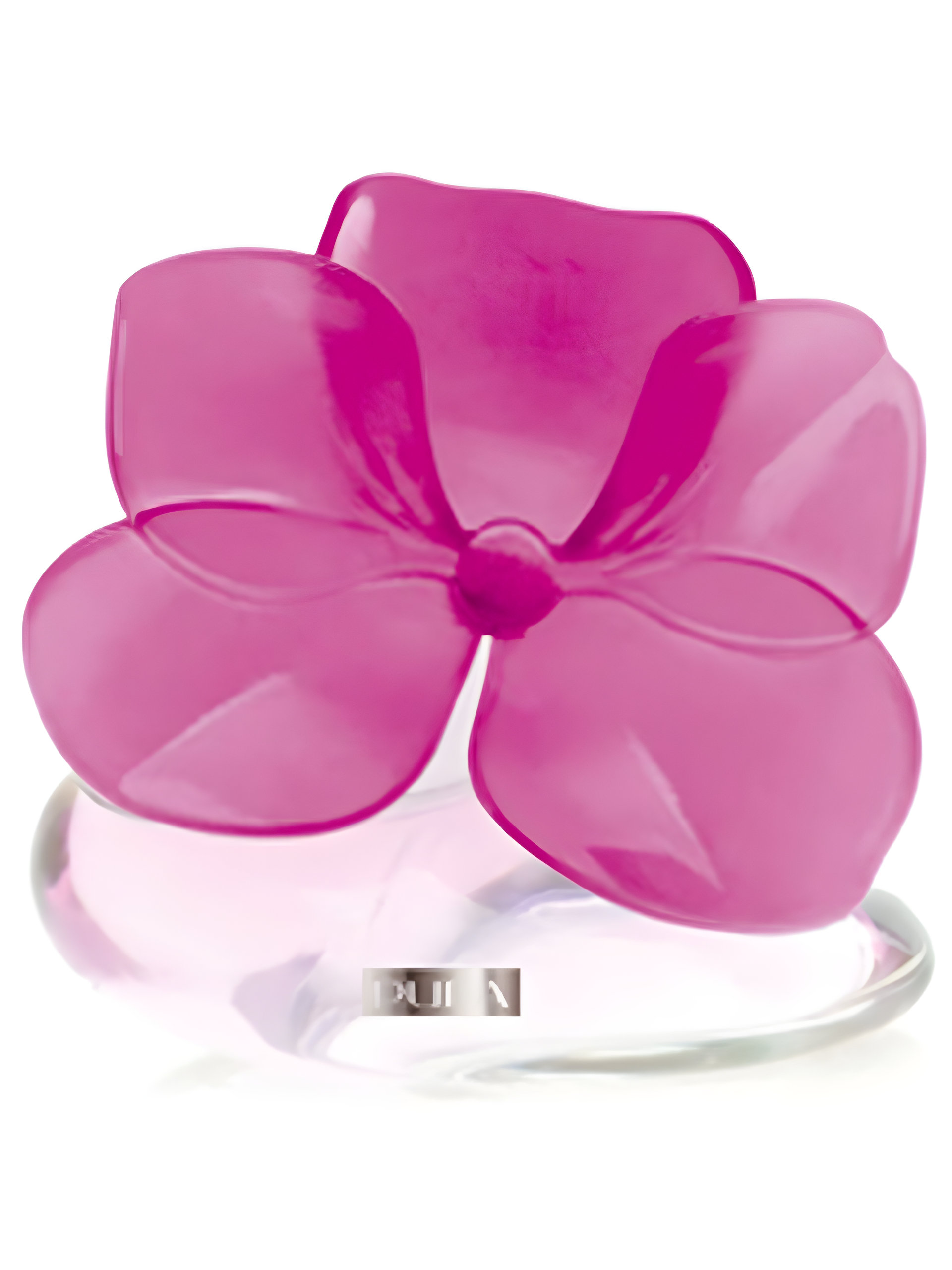 Picture of Very Flower Orchidea fragrance