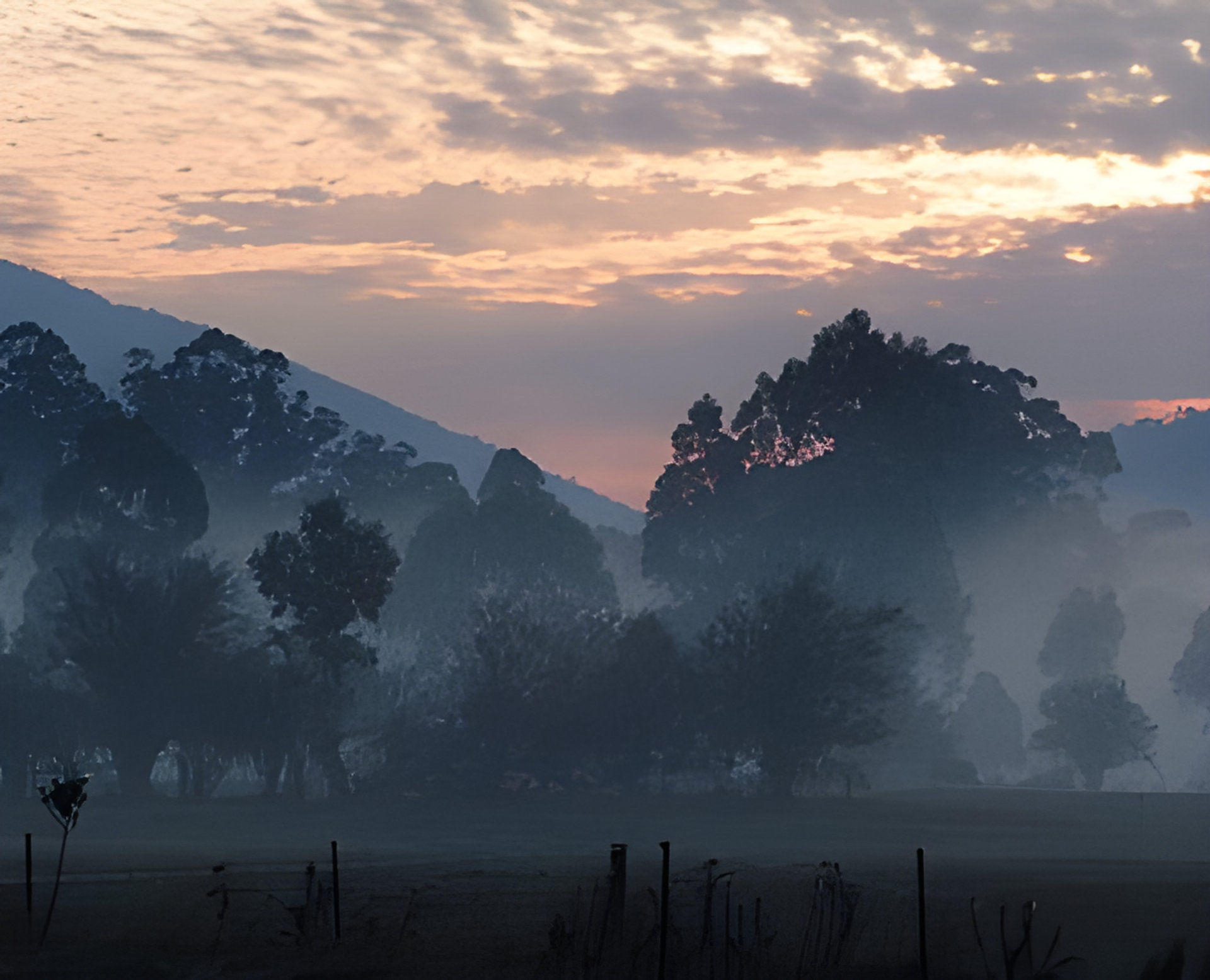 Picture of Nurture fragrance