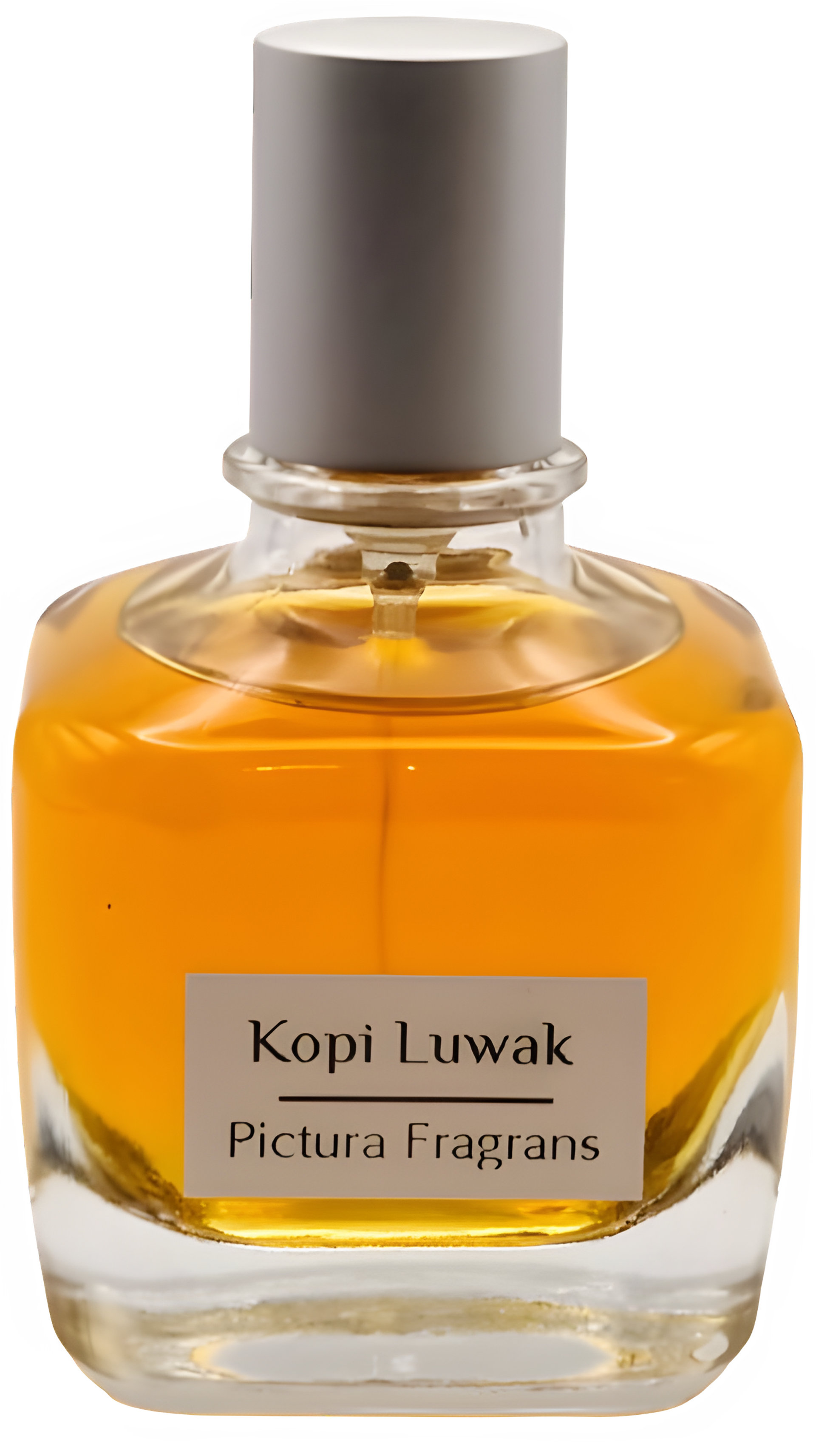Picture of Kopi Luwak fragrance