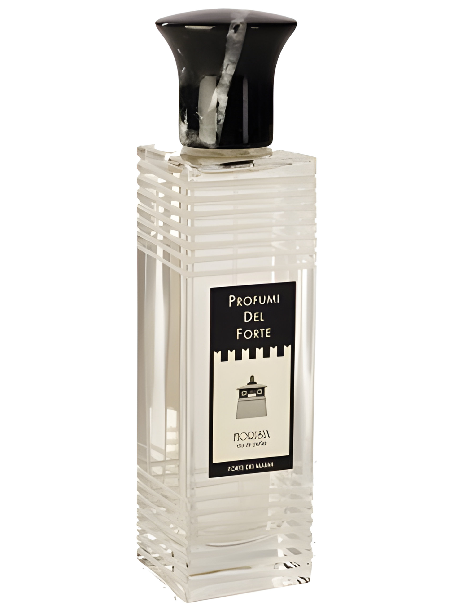 Picture of Fiorisia fragrance