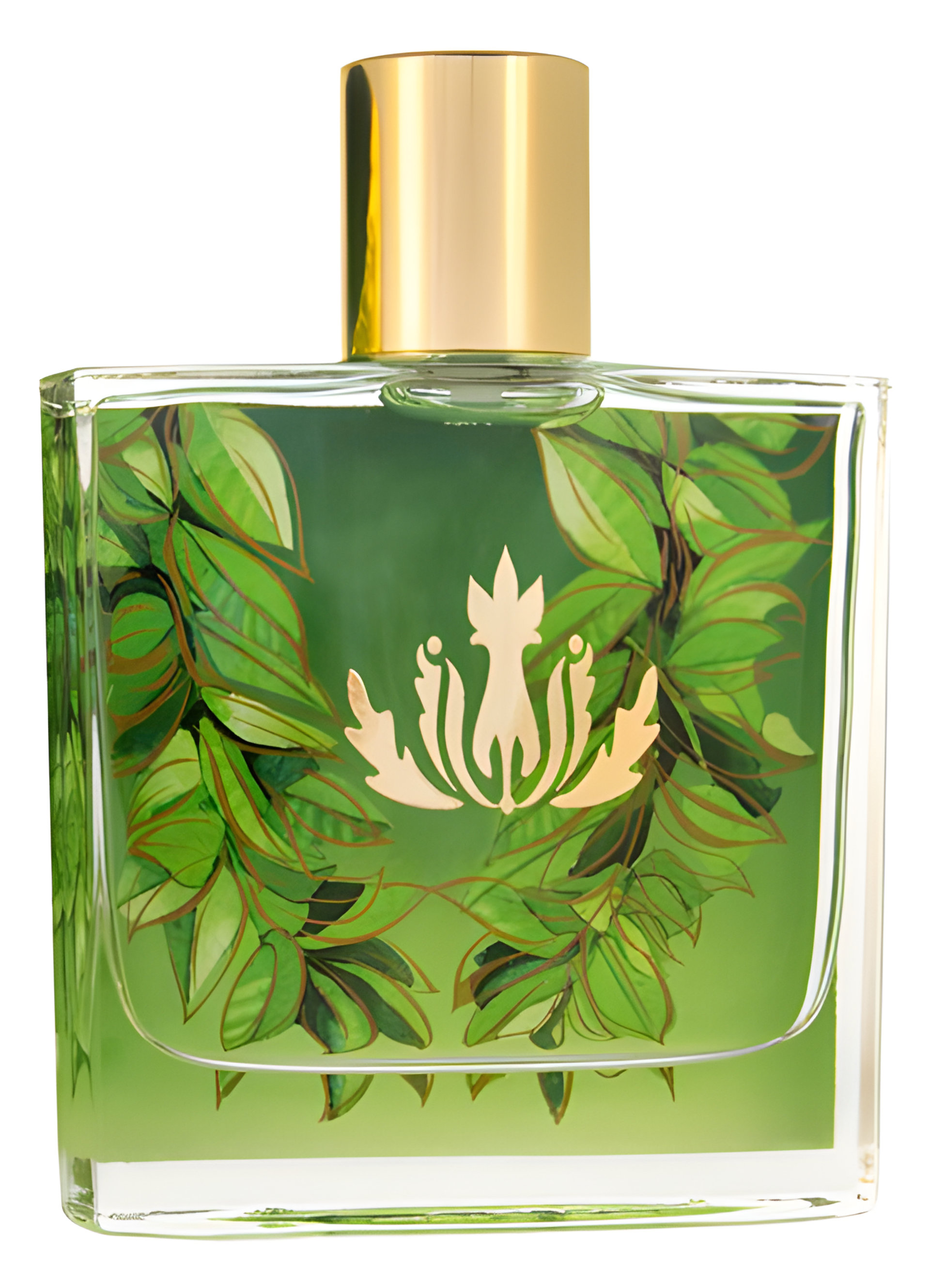 Picture of Koke'e fragrance