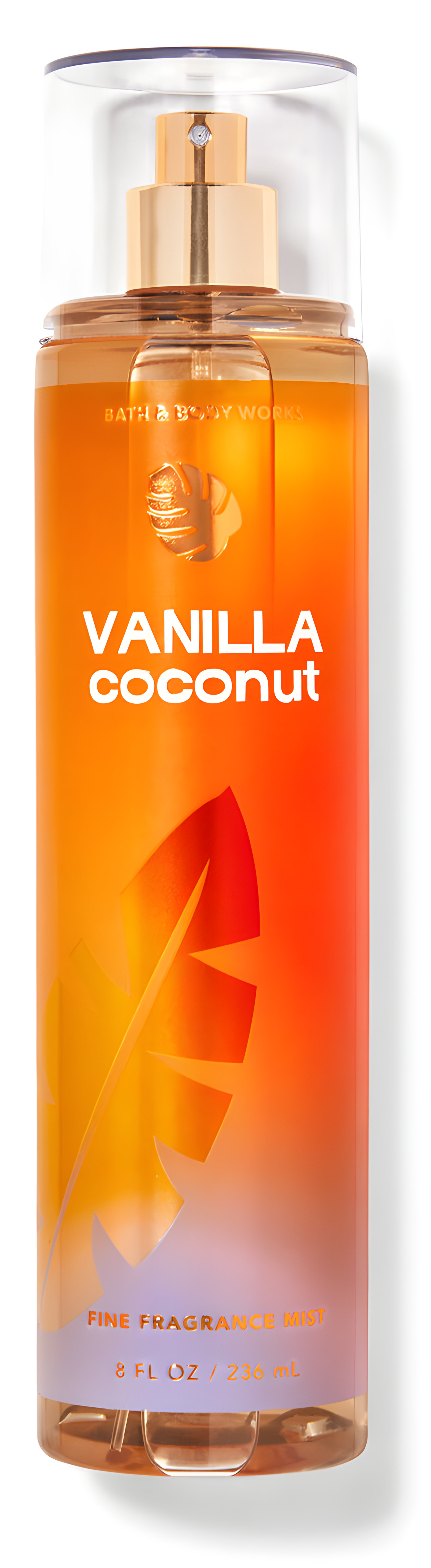 Picture of Vanilla Coconut fragrance
