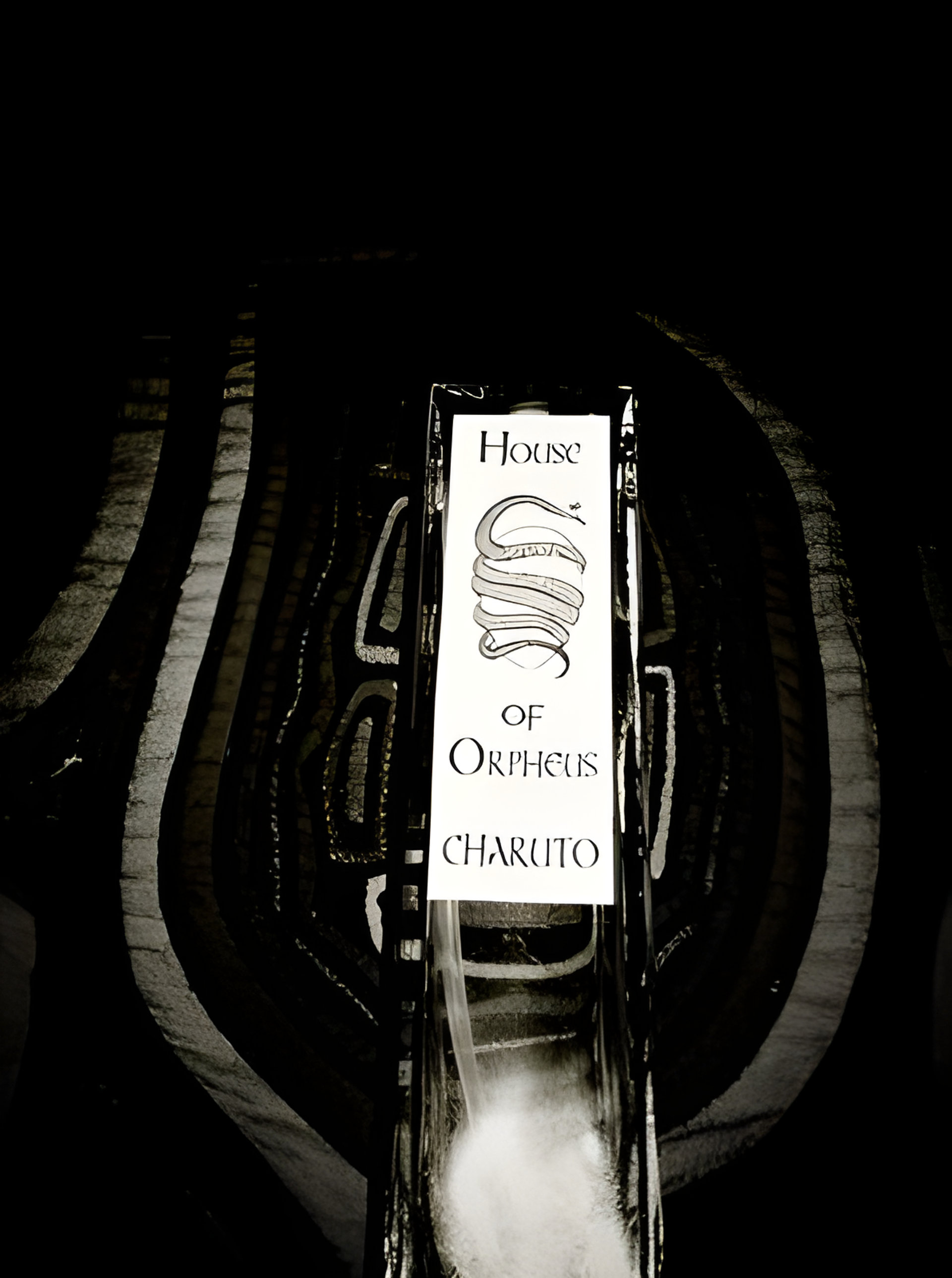 Picture of Charuto fragrance