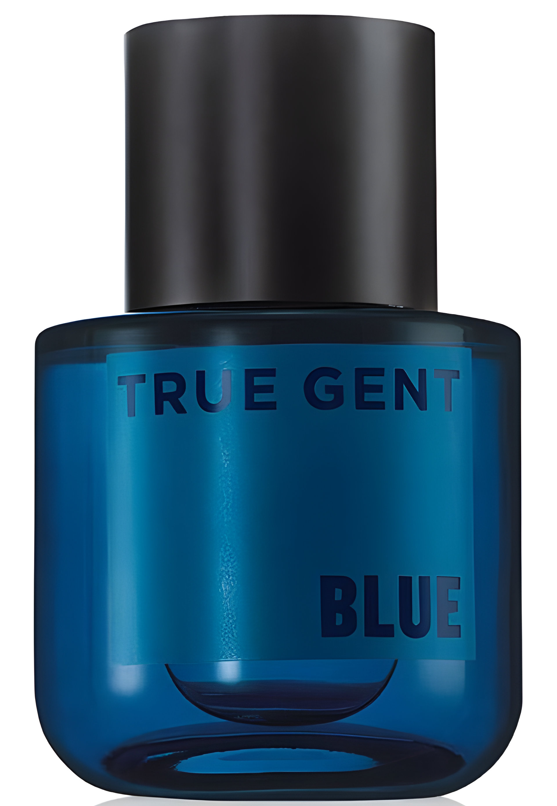 Picture of True Gent Blue fragrance