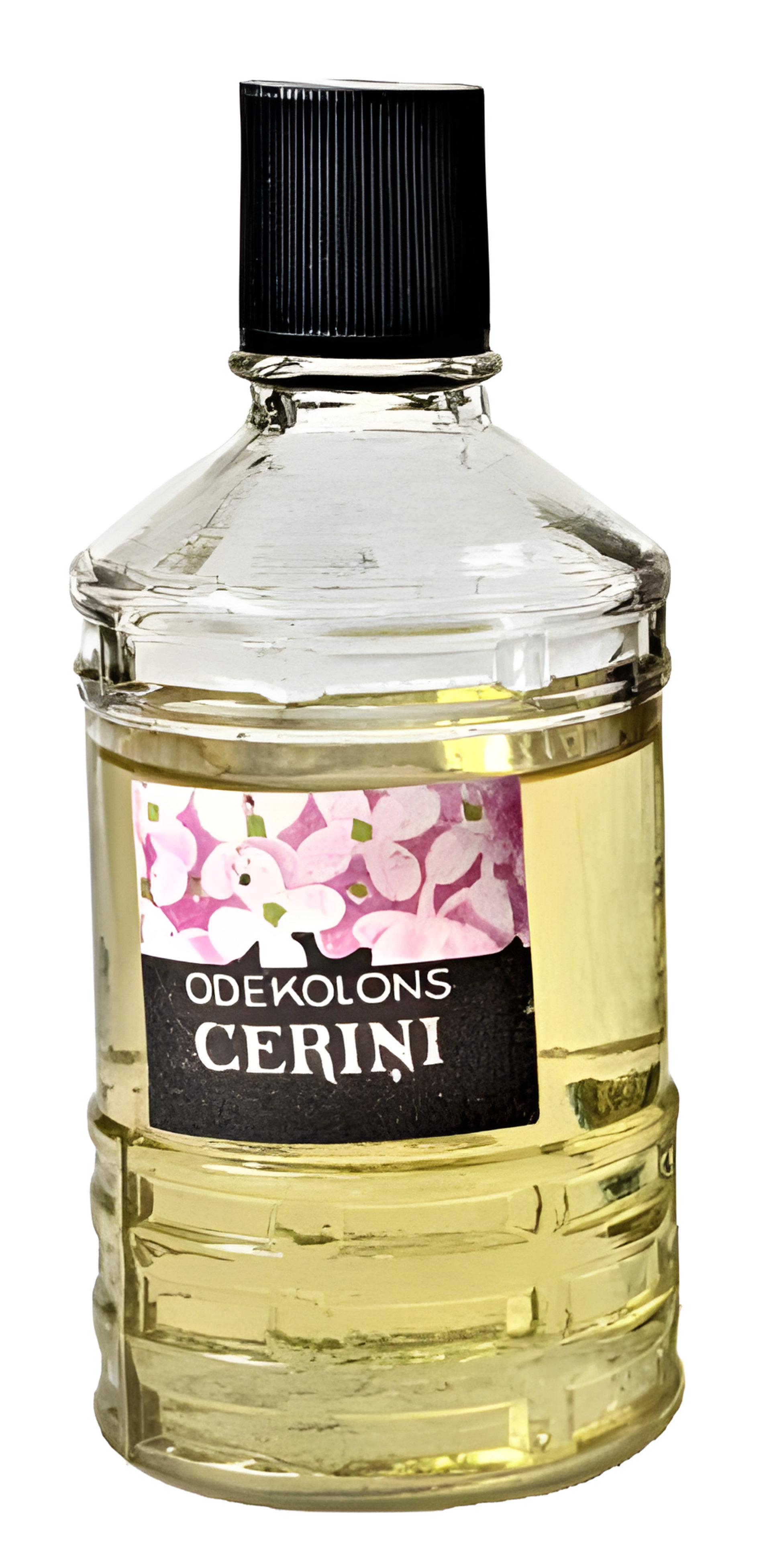 Cēriņi (Сирень) by Dzintars