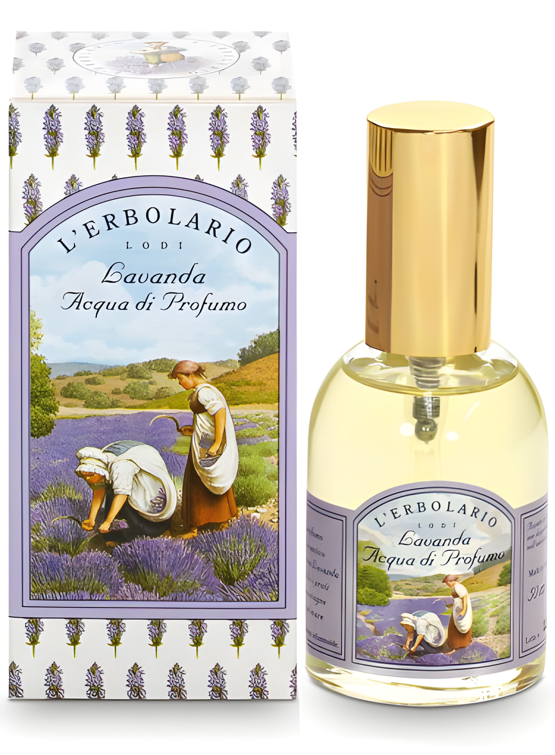 Picture of Lavanda fragrance