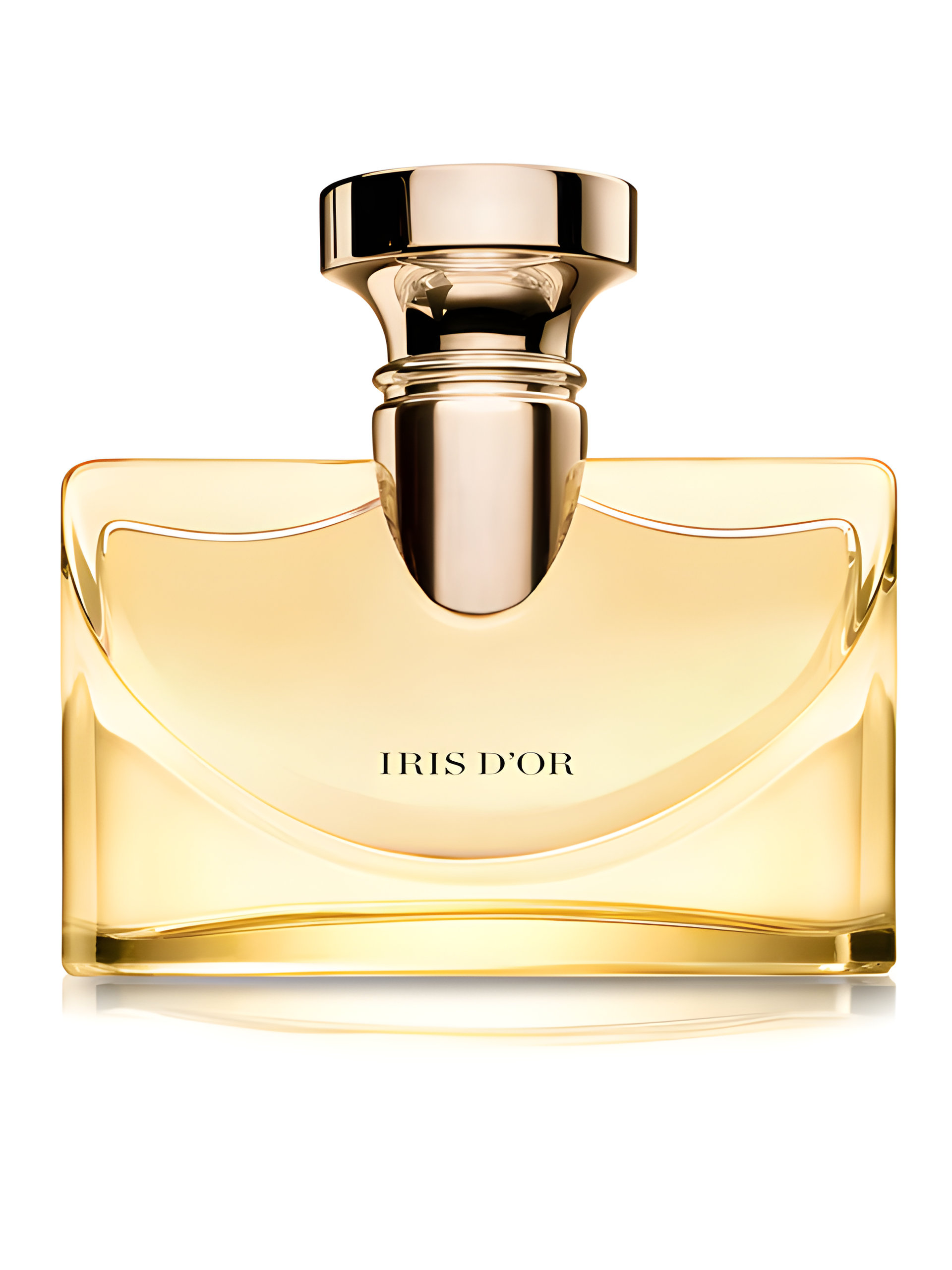 Picture of Splendida Iris d'Or fragrance