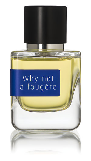 Why Not a Fougère by Mark Buxton perfume bottle
