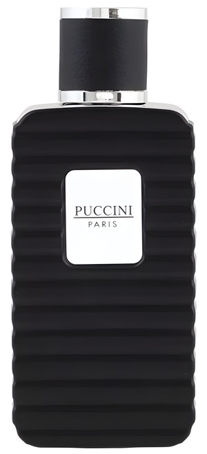 Puccini Men Black by Puccini Paris perfume bottle