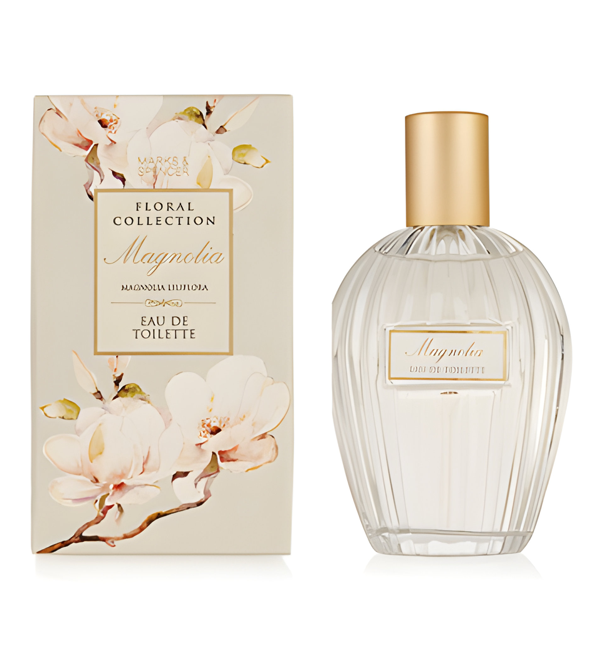 Picture of Magnolia fragrance