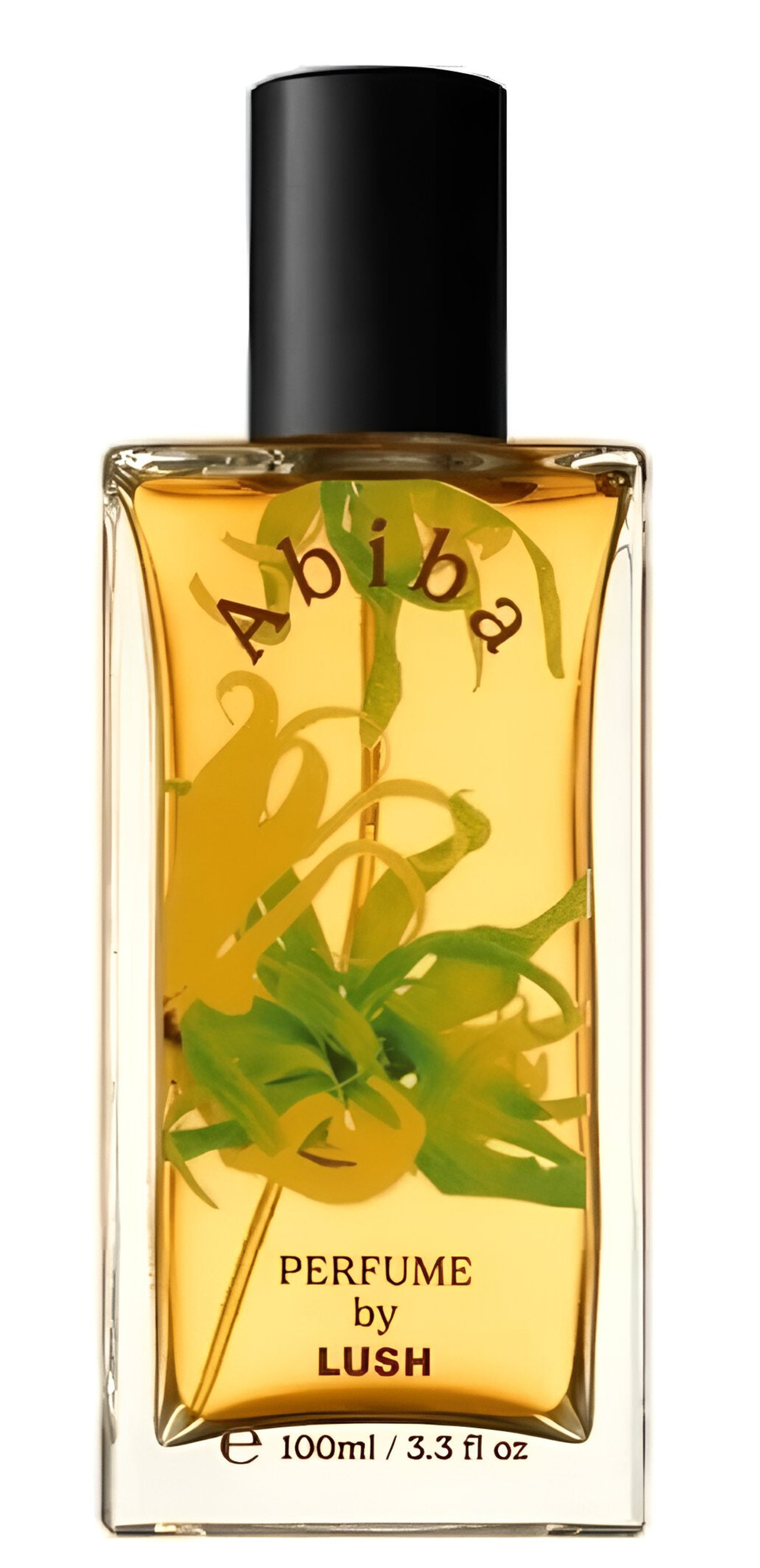 Picture of Abiba fragrance