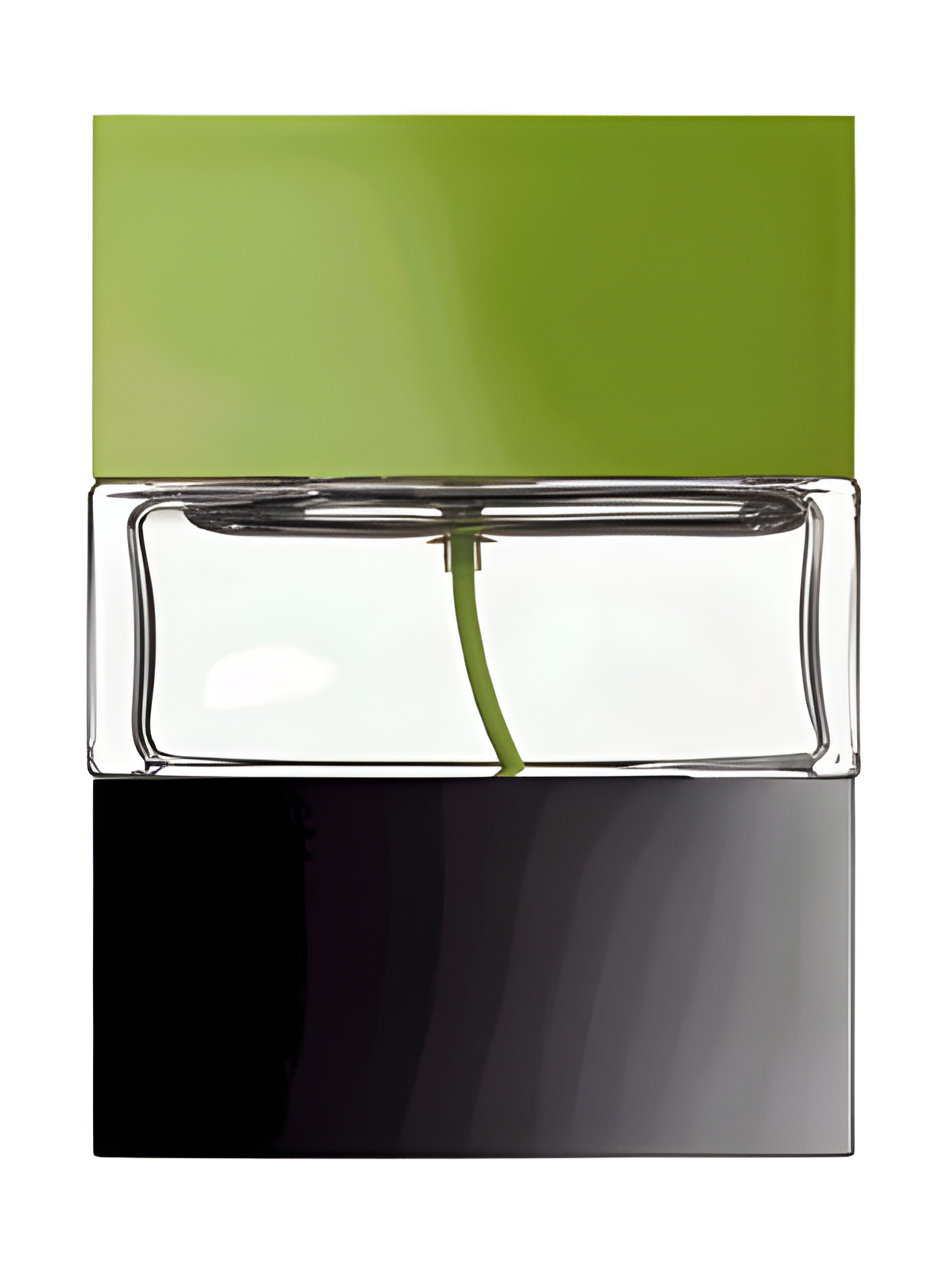 Picture of Turquatic fragrance