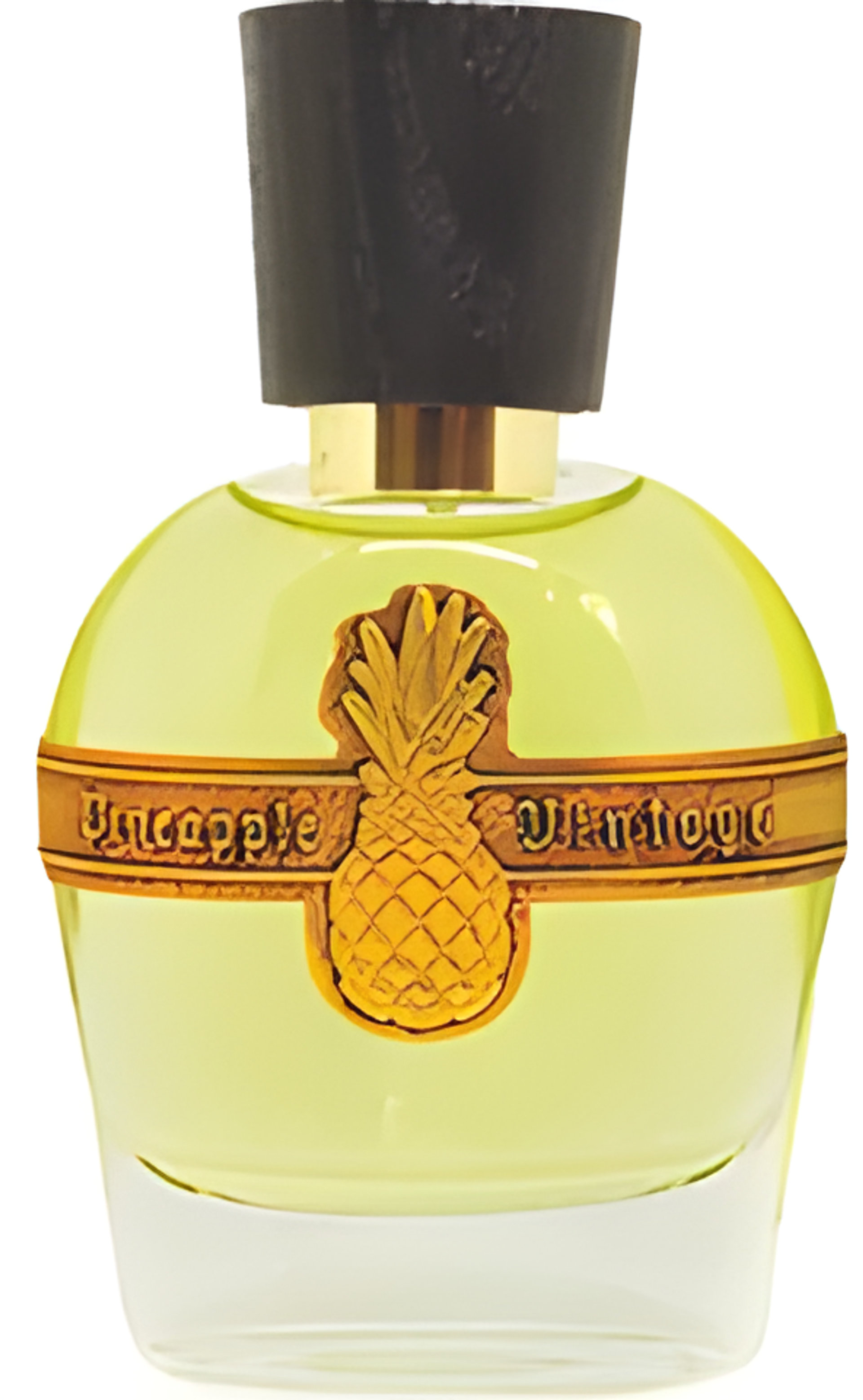 Picture of Haciventus fragrance