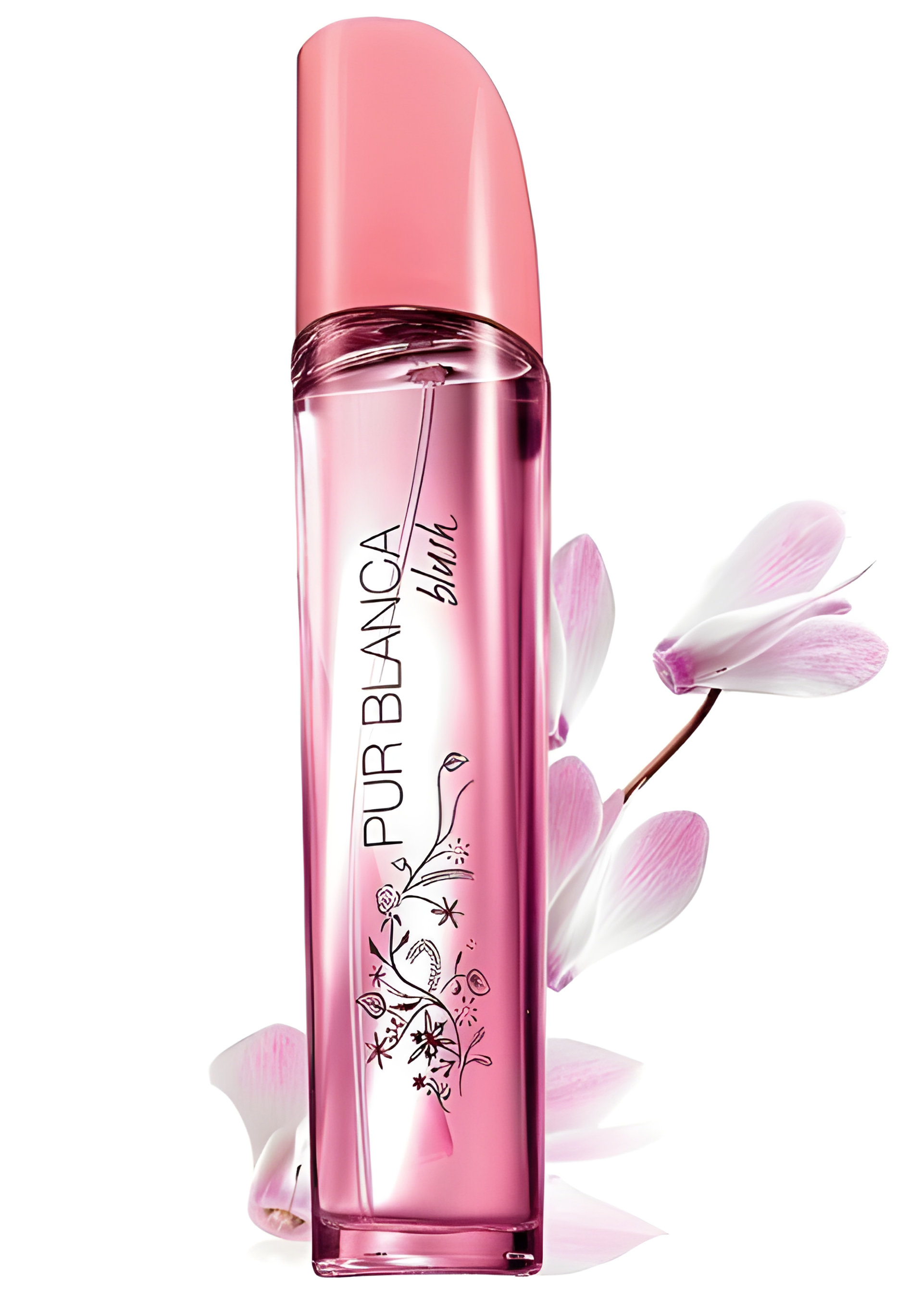 Picture of Pur Blanca Blush fragrance