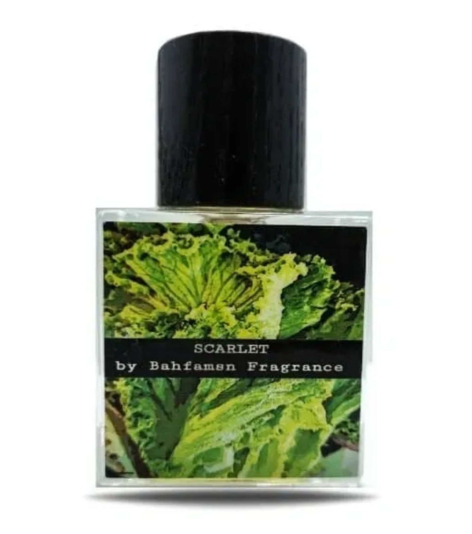 Picture of Scarlet fragrance