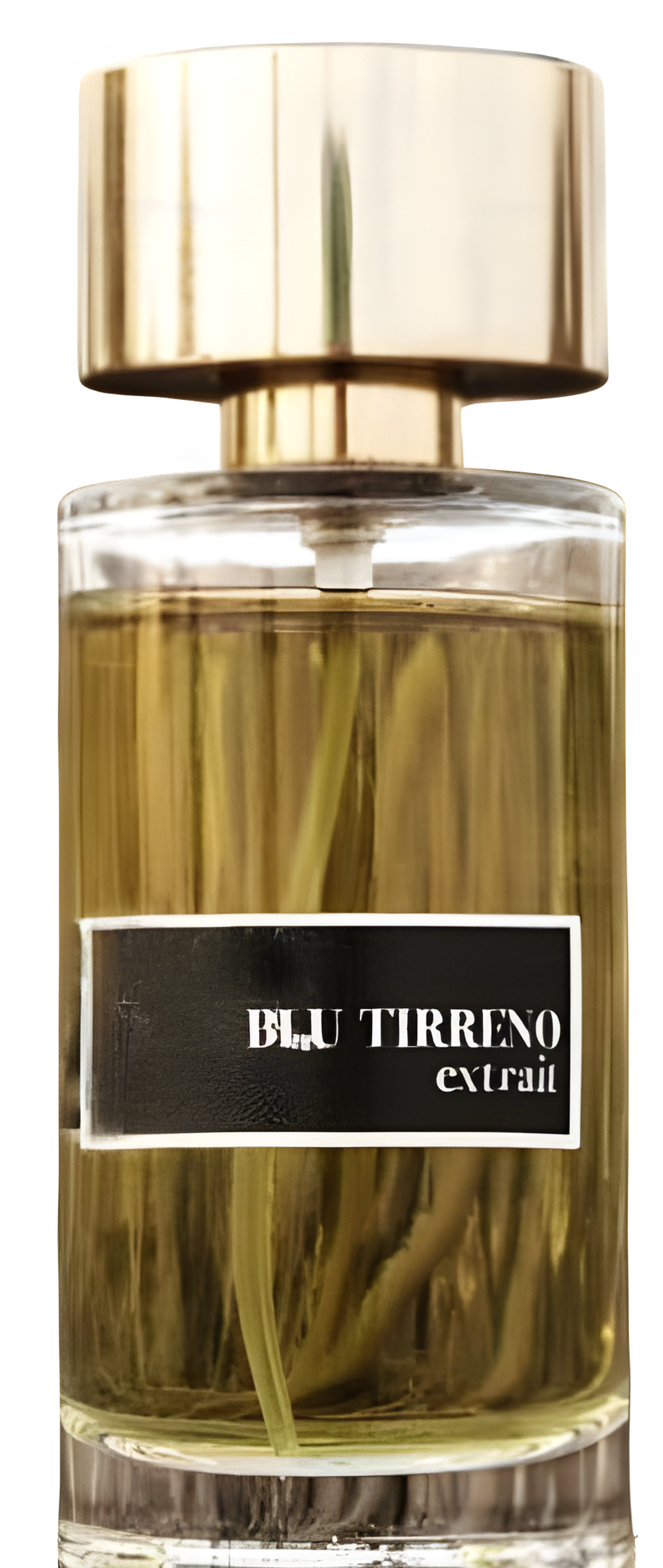 Picture of Blu Tirreno fragrance