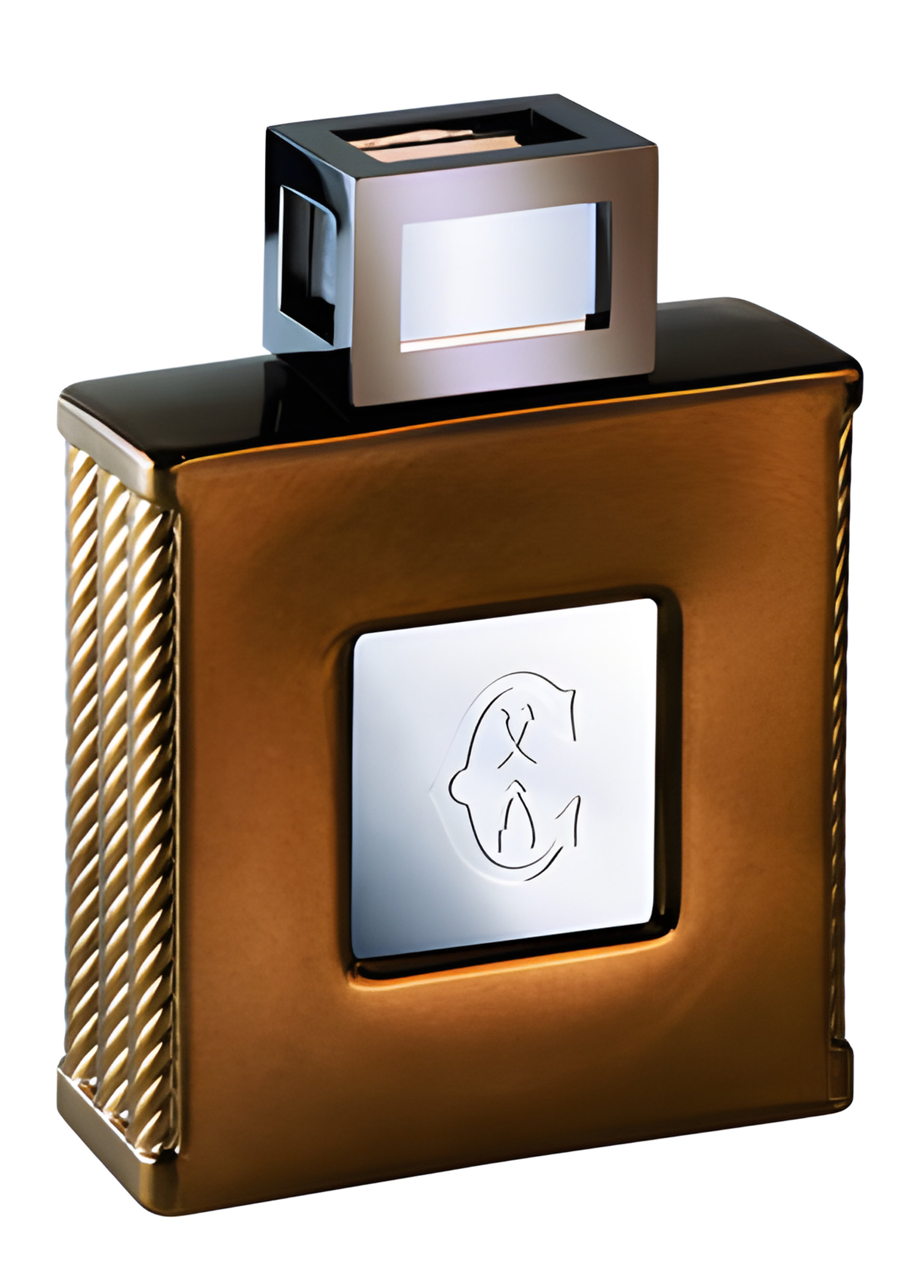Picture of Royal Leather fragrance