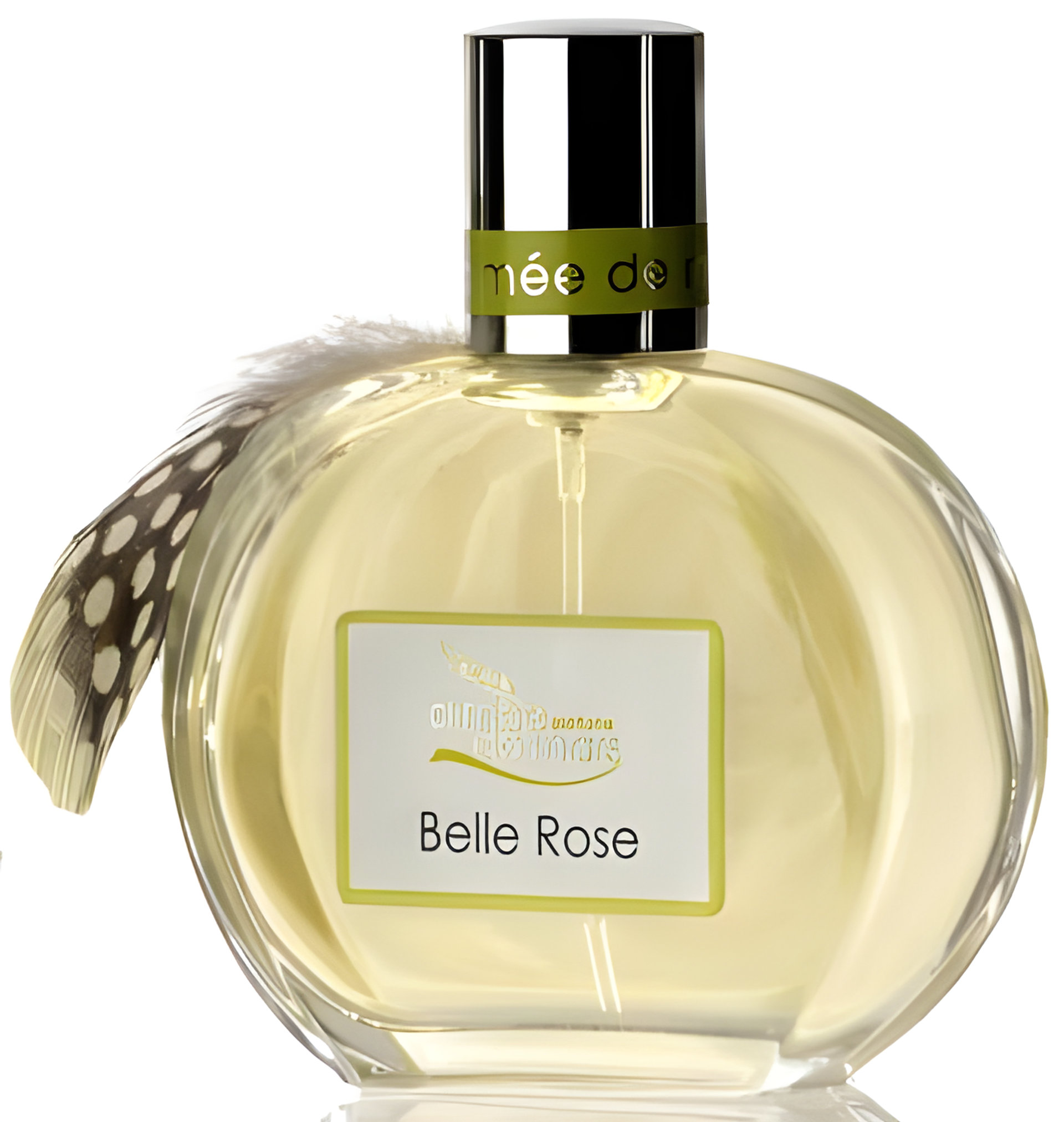 Picture of Belle Rose fragrance