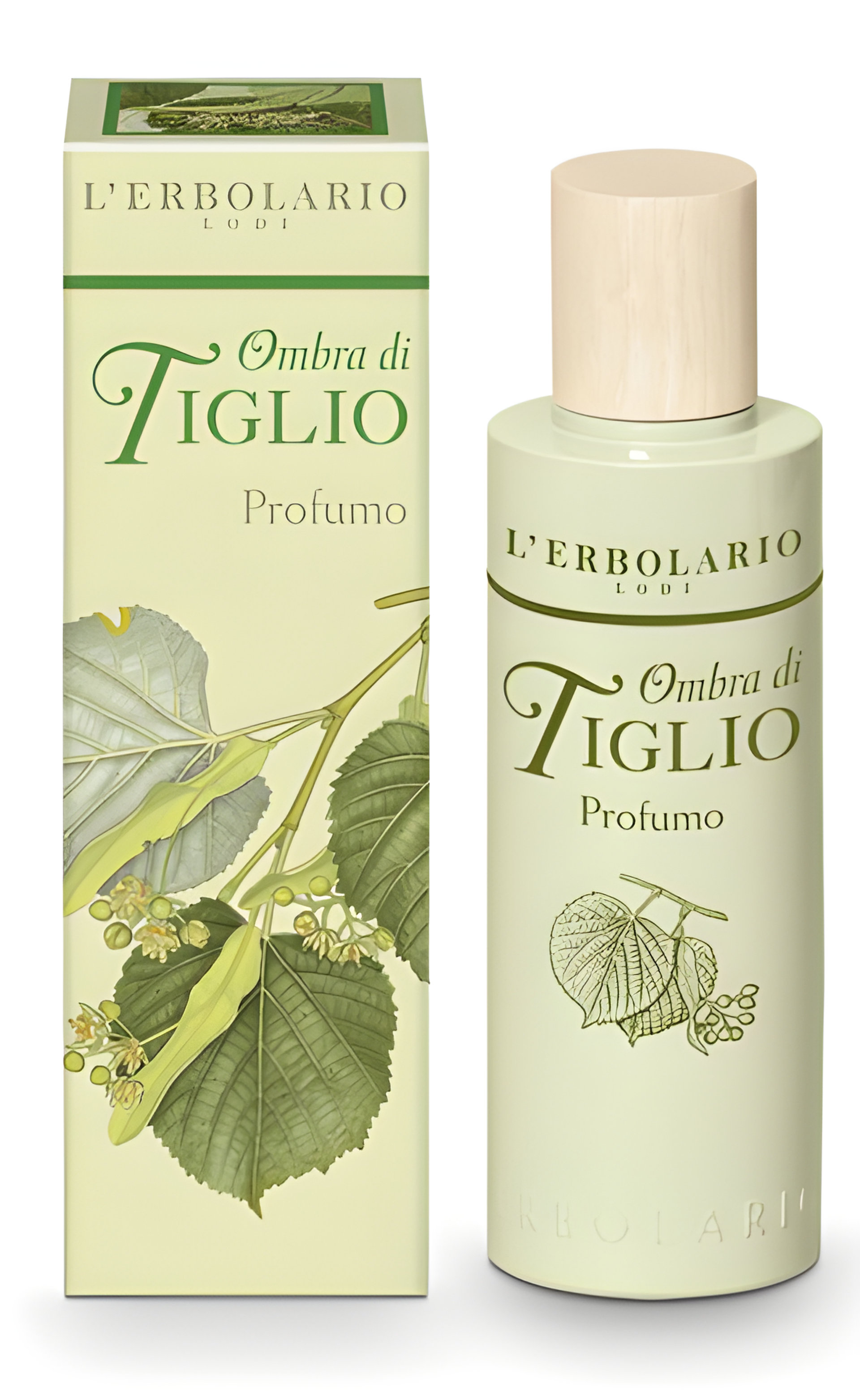 Picture of Ombra Di Tiglio fragrance