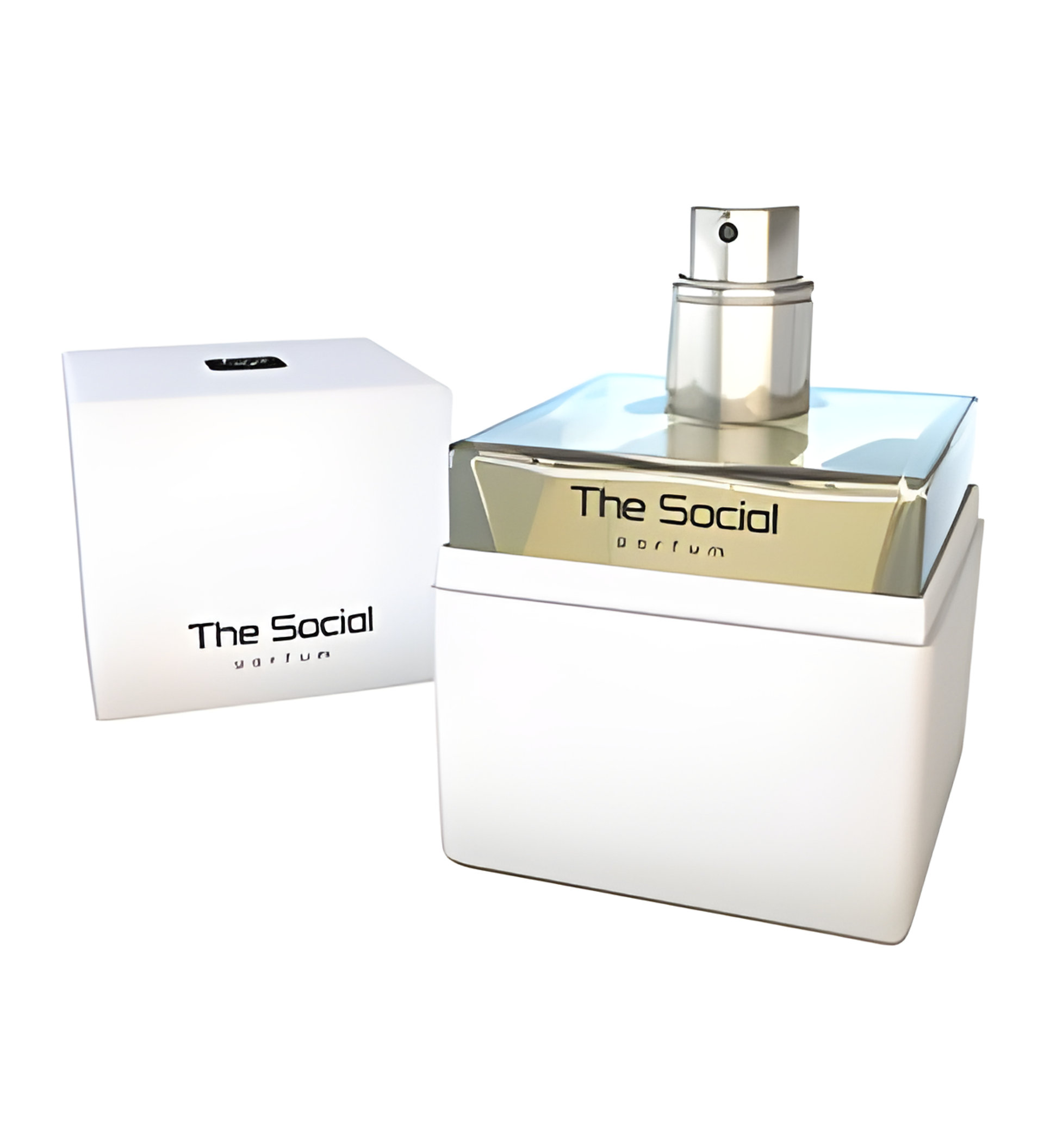 Picture of The Social Parfum fragrance