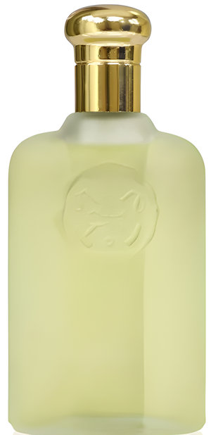 Play by Polo Play perfume bottle