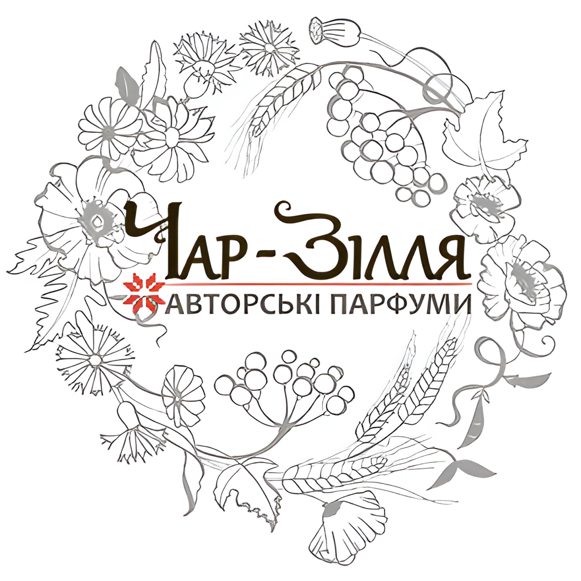 Picture of Char-Zillya brand