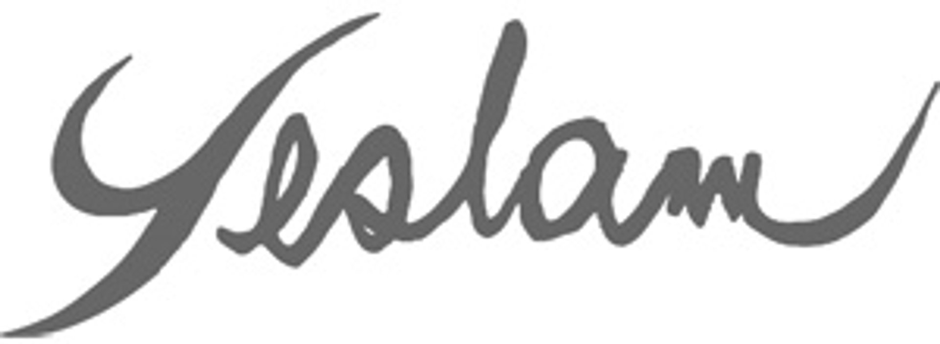 Picture of Yeslam brand