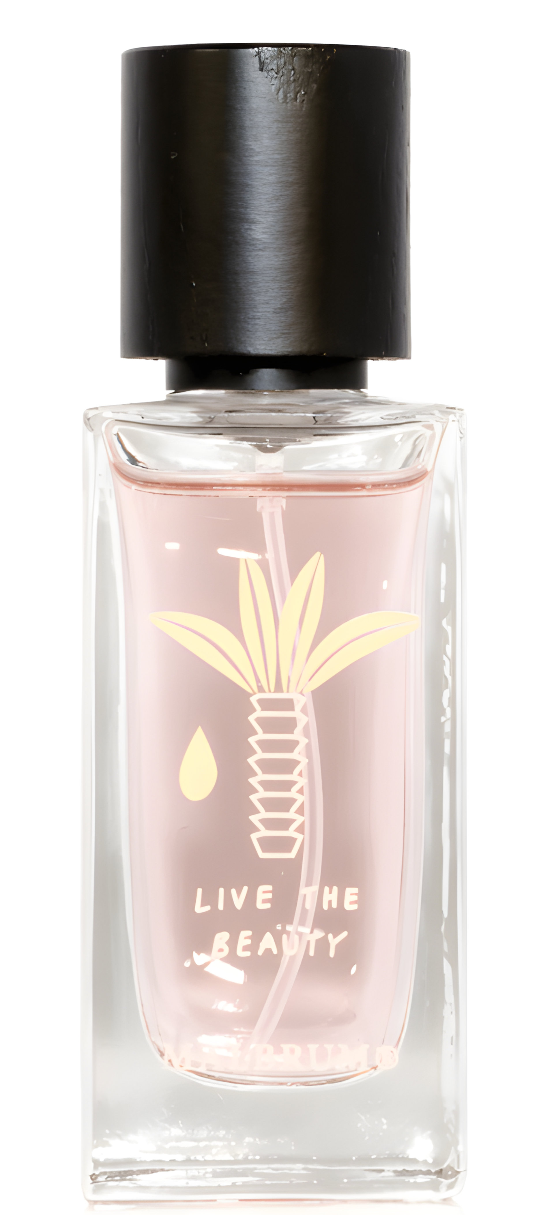 Picture of Safariyah fragrance