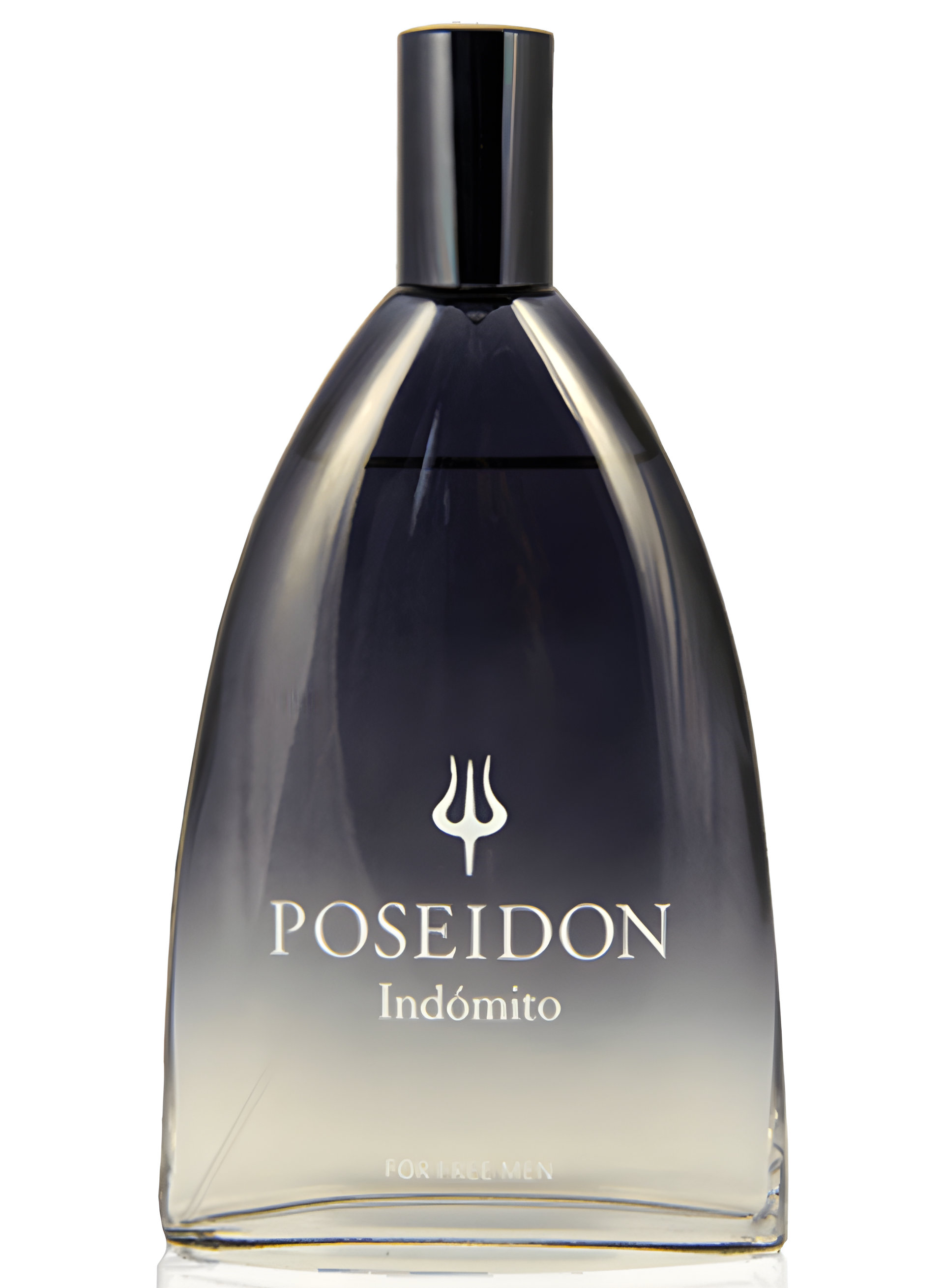 Picture of Poseidon Indómito fragrance