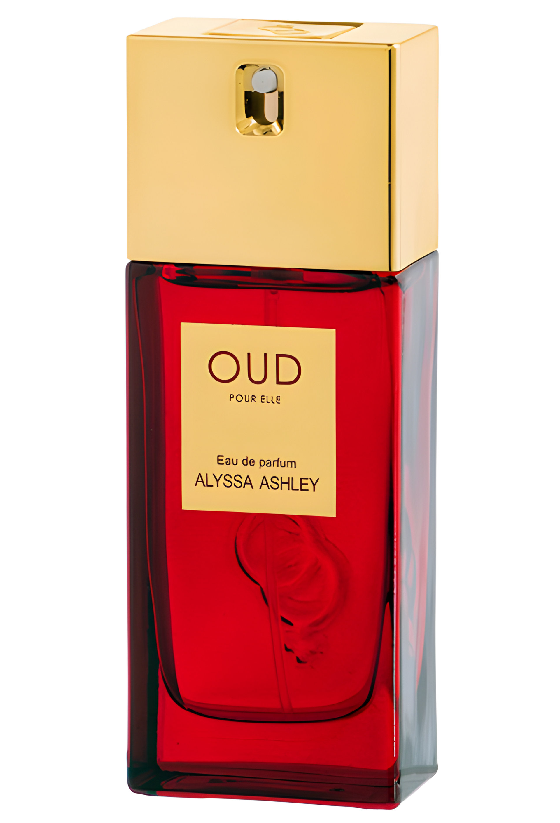 Picture of Oud Pour Elle fragrance