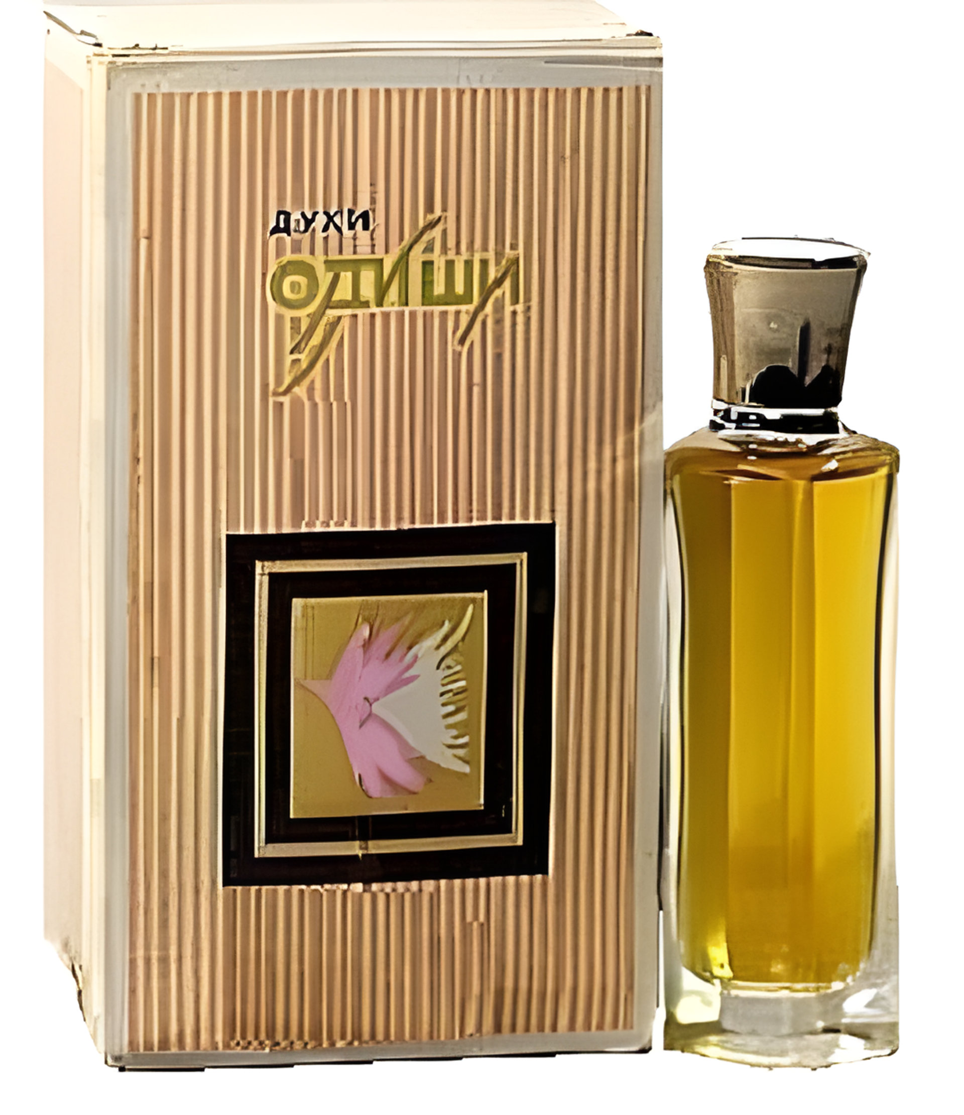 Picture of Одиши fragrance