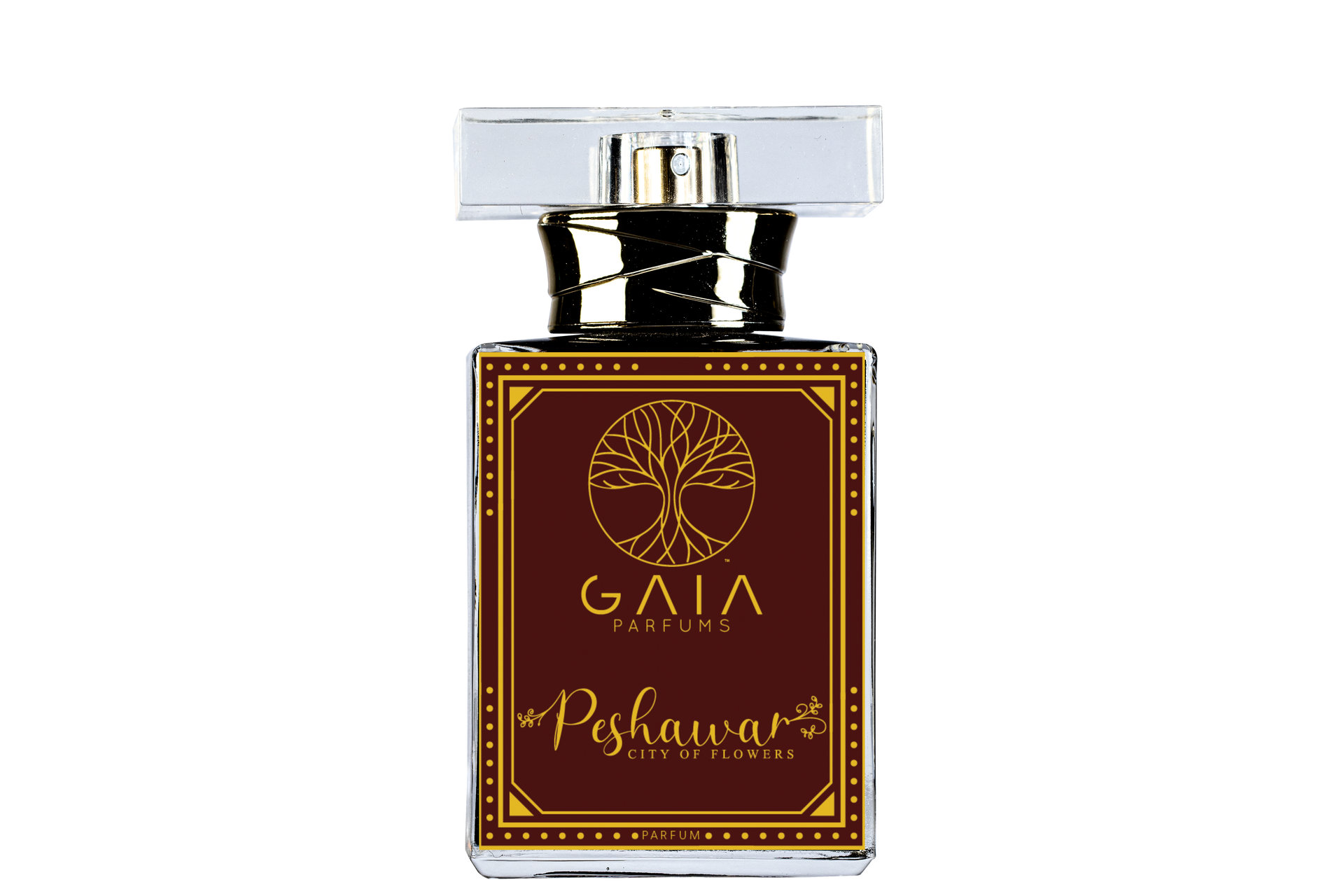 Picture of Peshawar a City of Flowers fragrance