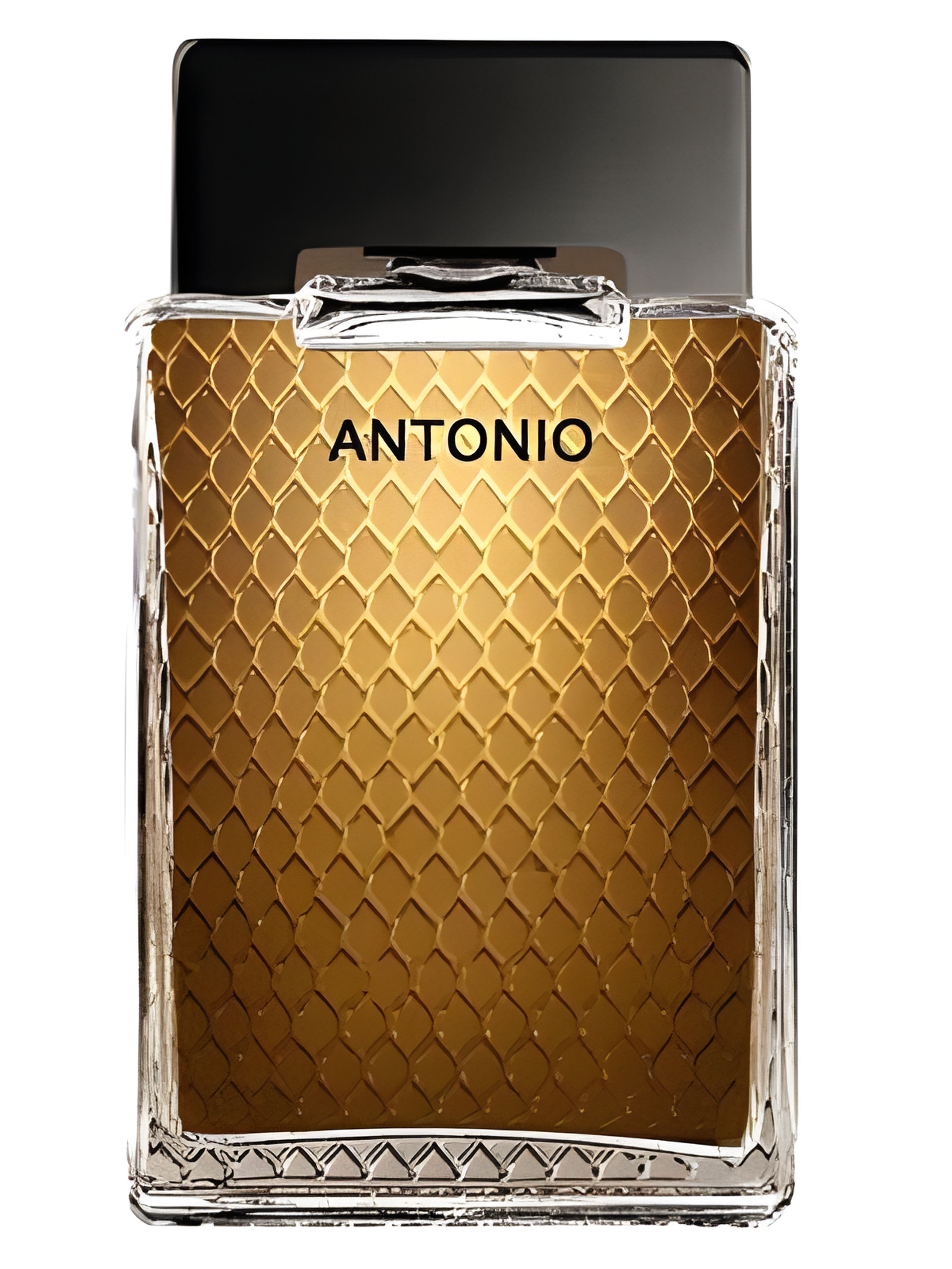 Picture of Antonio fragrance