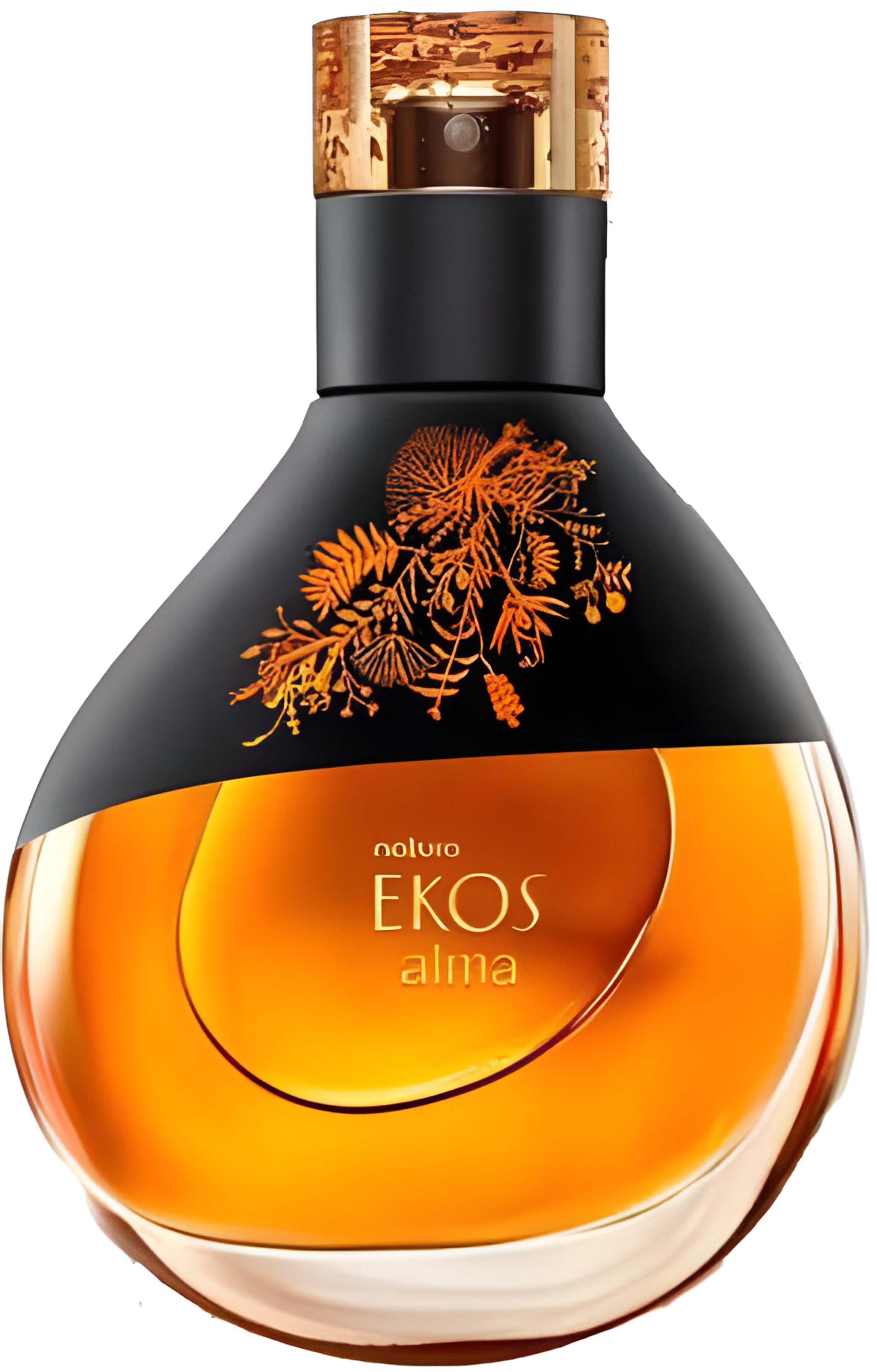 Picture of Ekos Alma fragrance