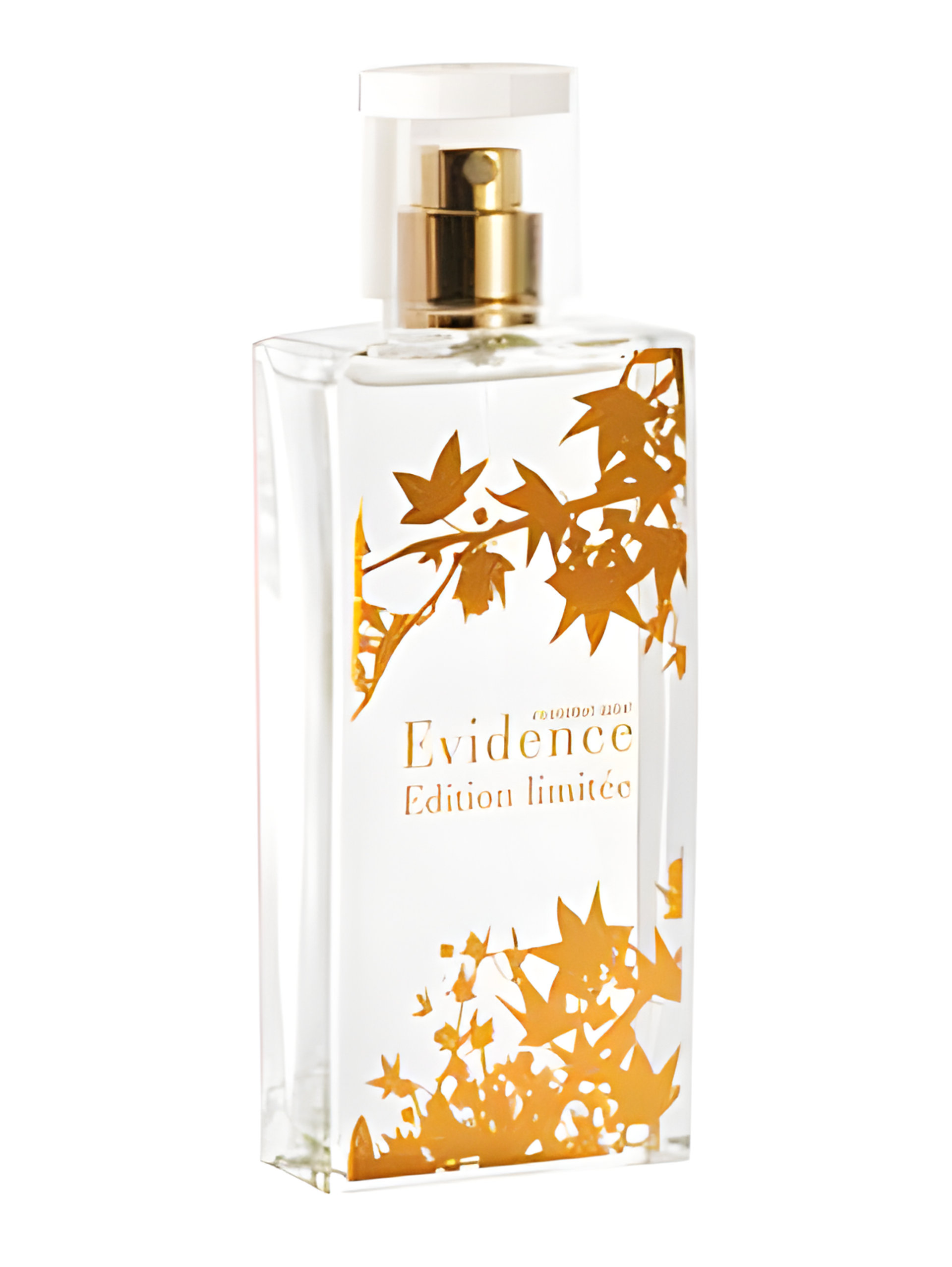 Comme Une Evidence Limited Edition 2008 by Yves Rocher
