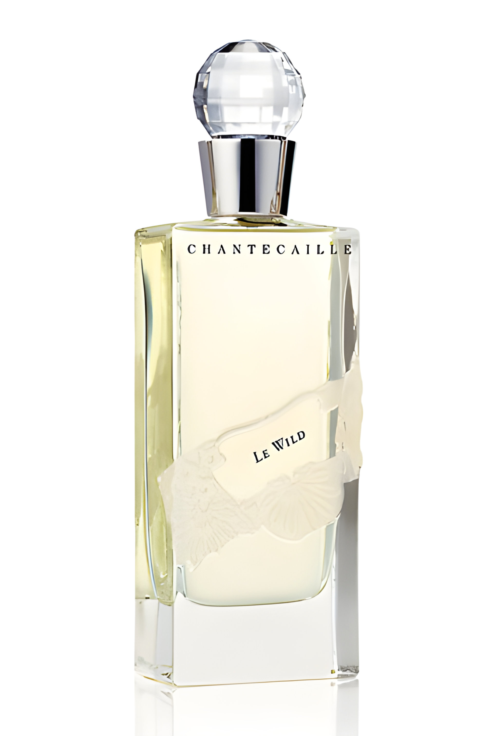 Picture of Le Wild fragrance