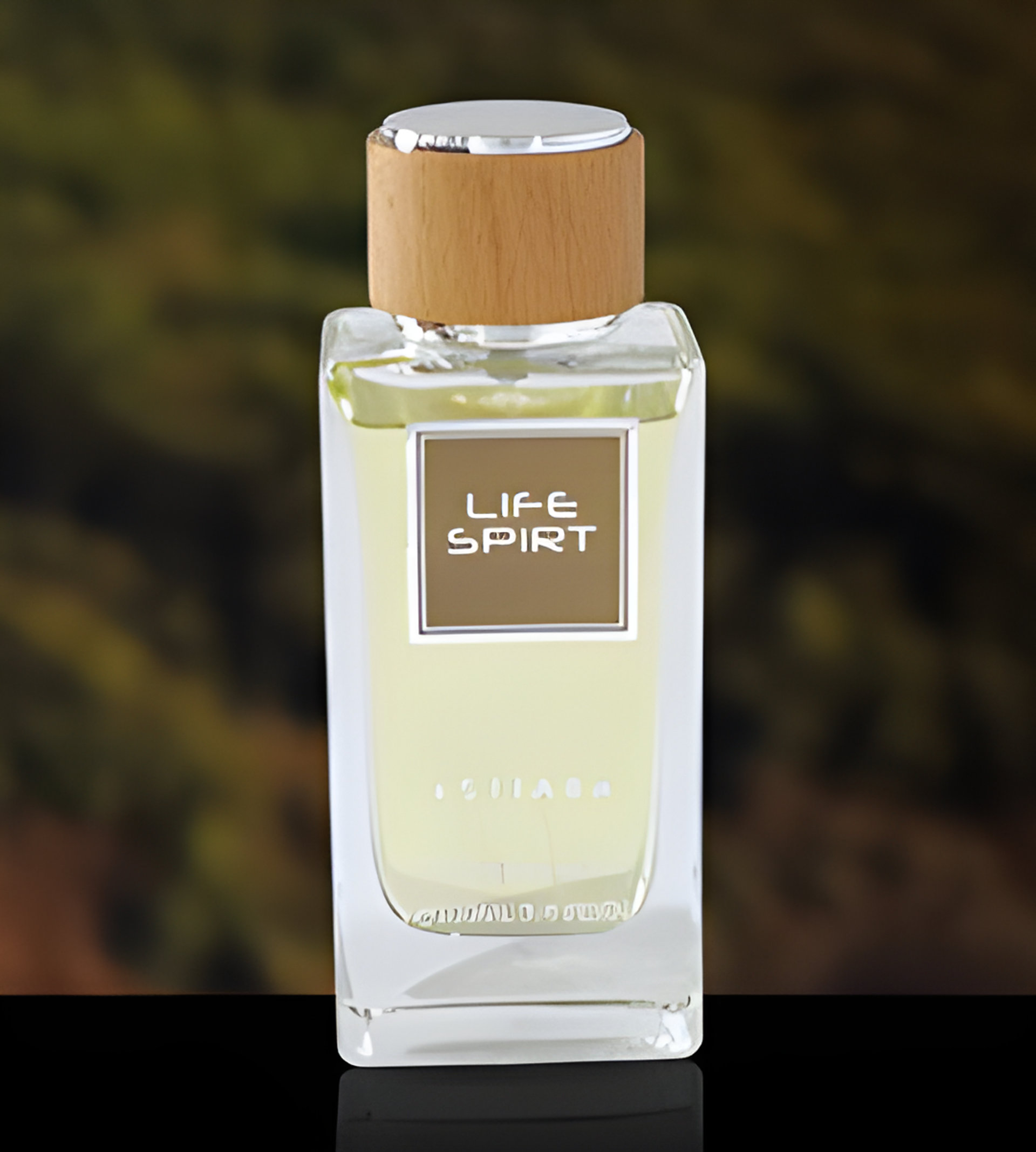 Picture of Life Spirit fragrance