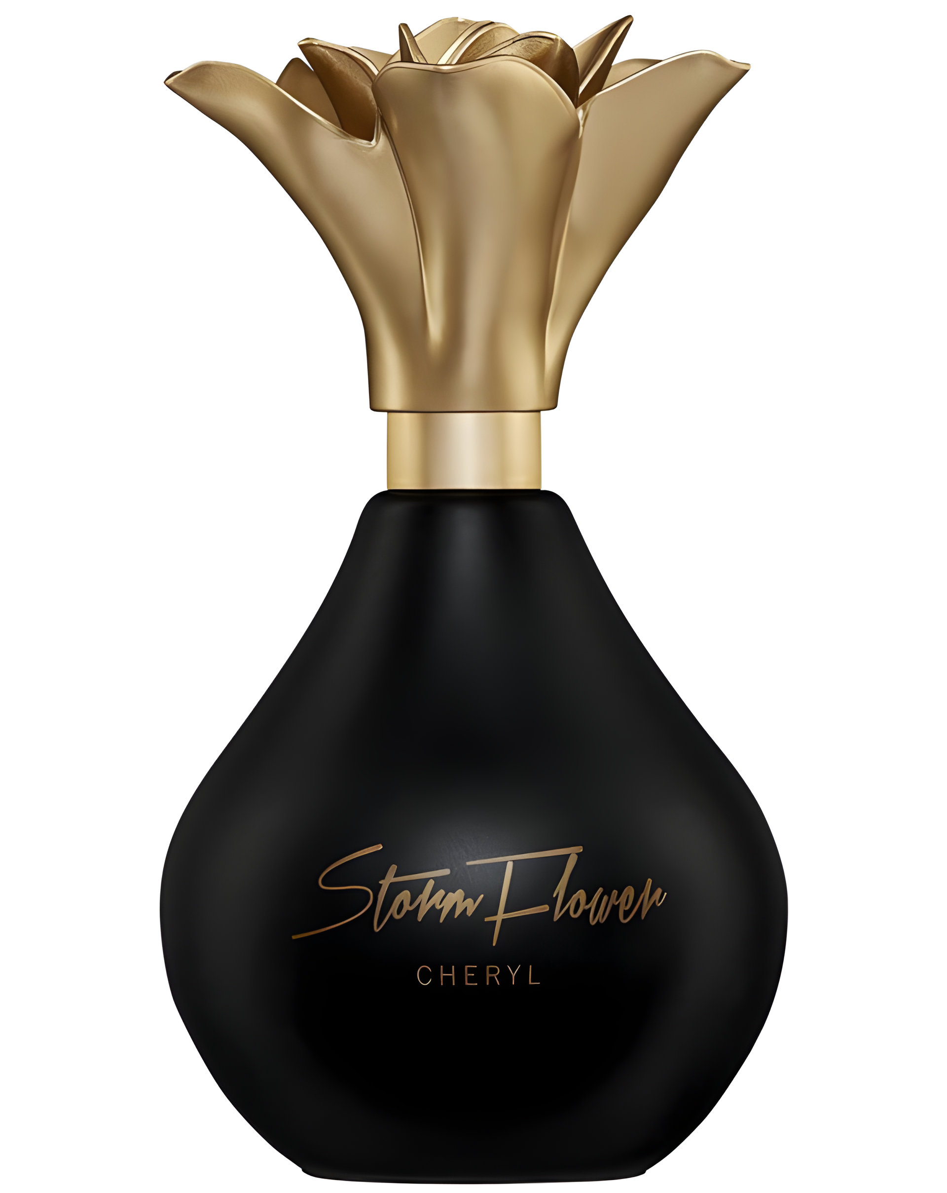 Picture of StormFlower Noir fragrance