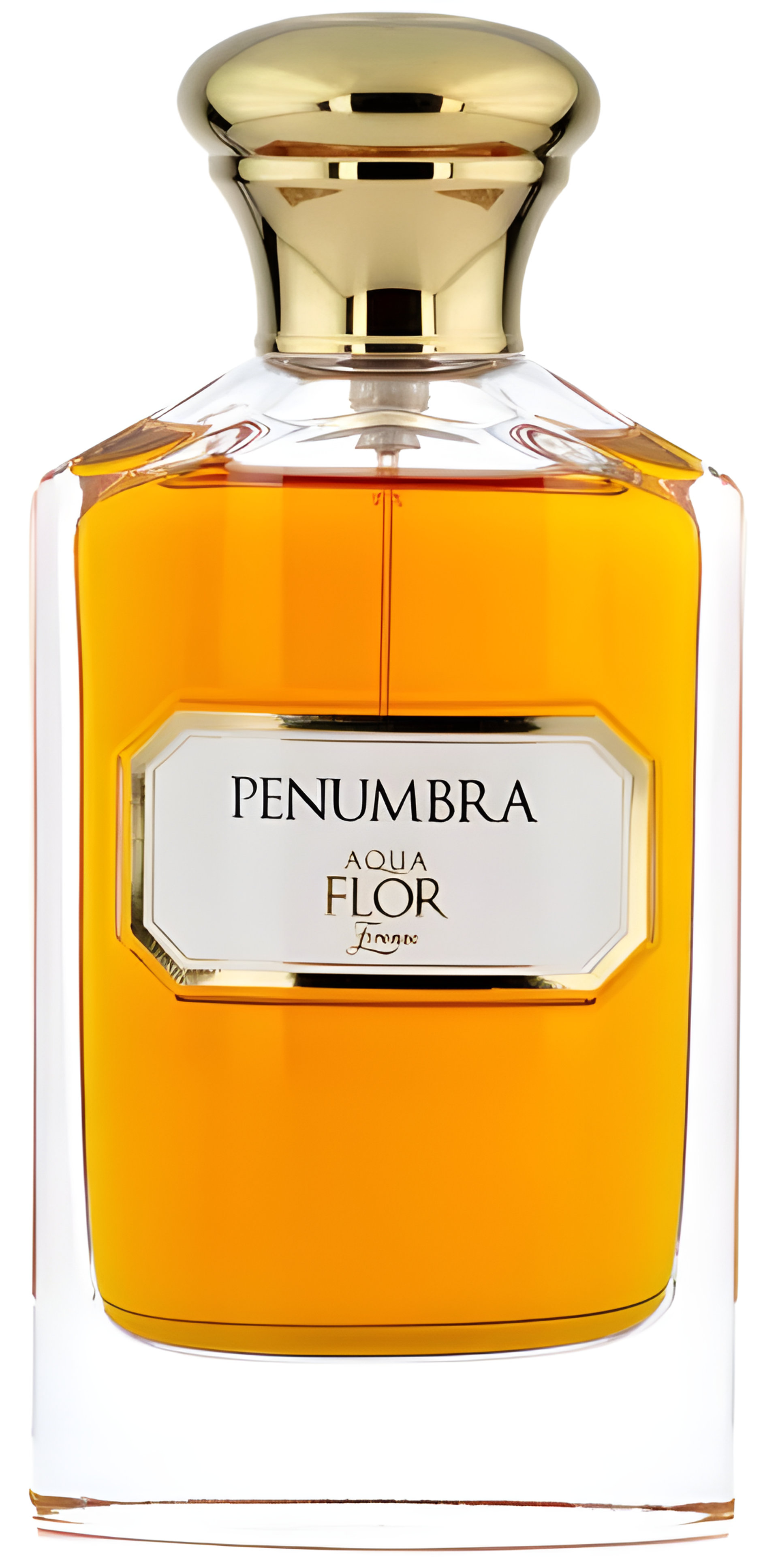 Picture of Penumbra fragrance