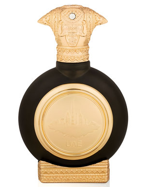 UAE Oud by Taif Al Emarat perfume bottle
