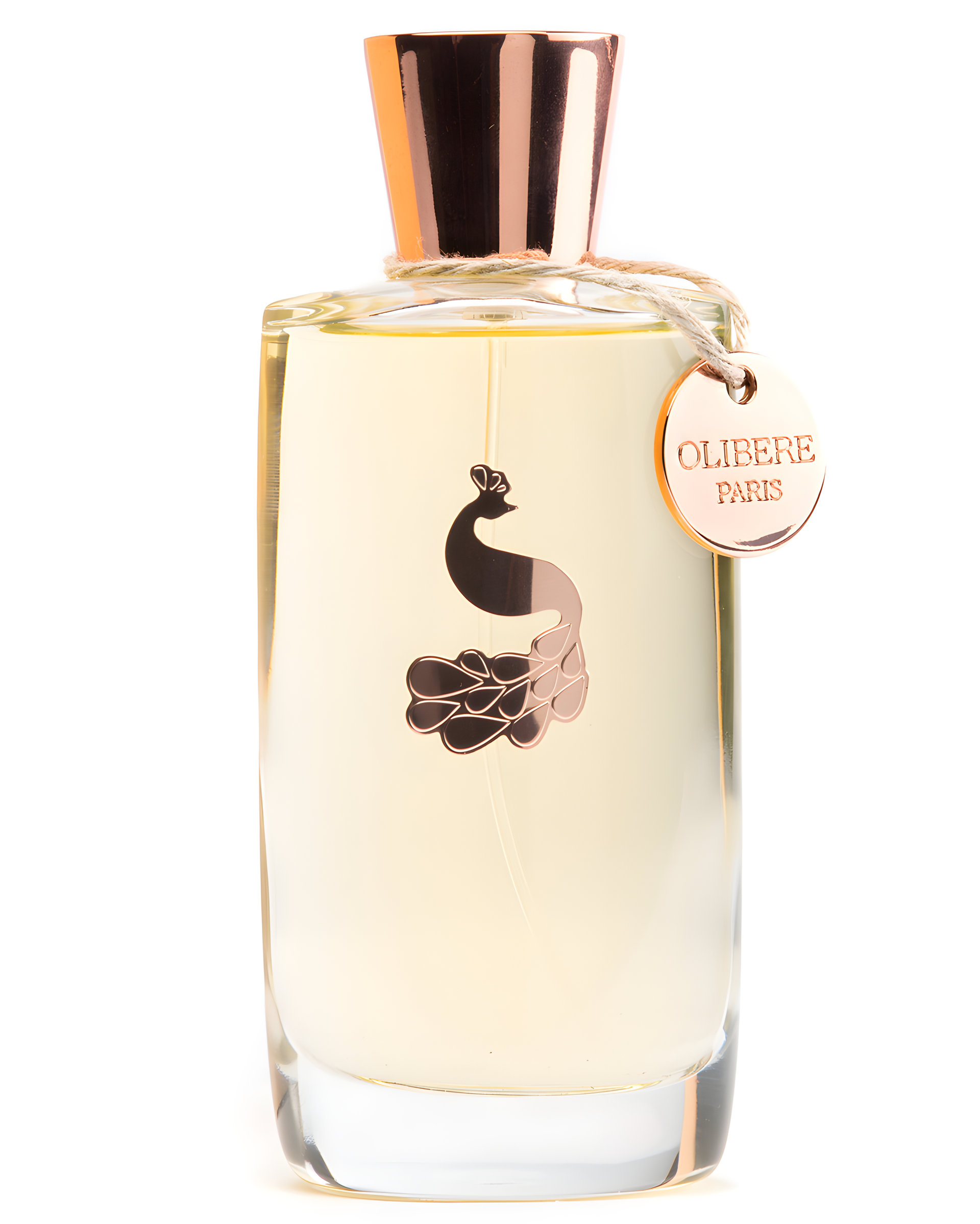 Picture of Chemical Love fragrance