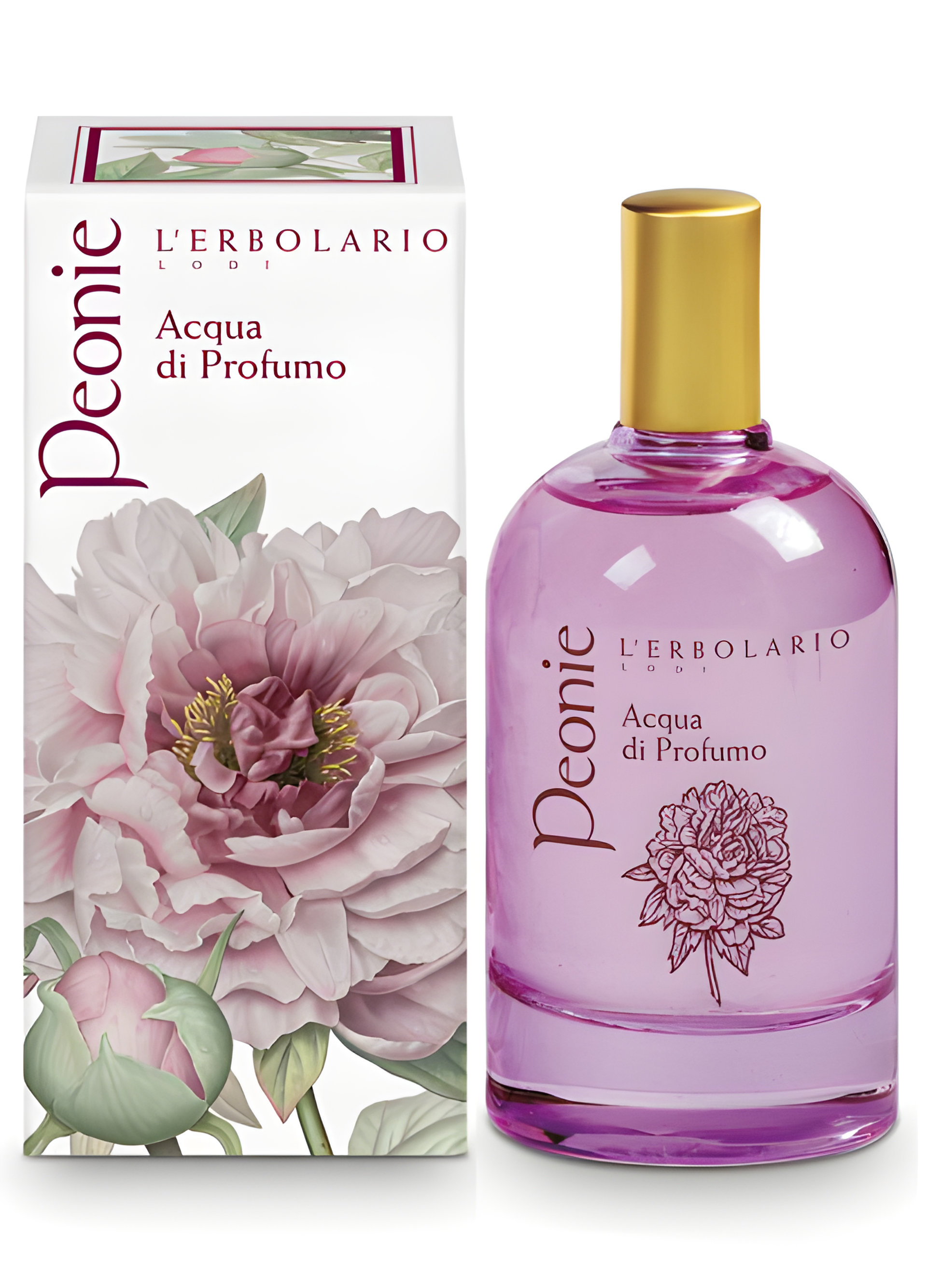 Picture of Peonie fragrance