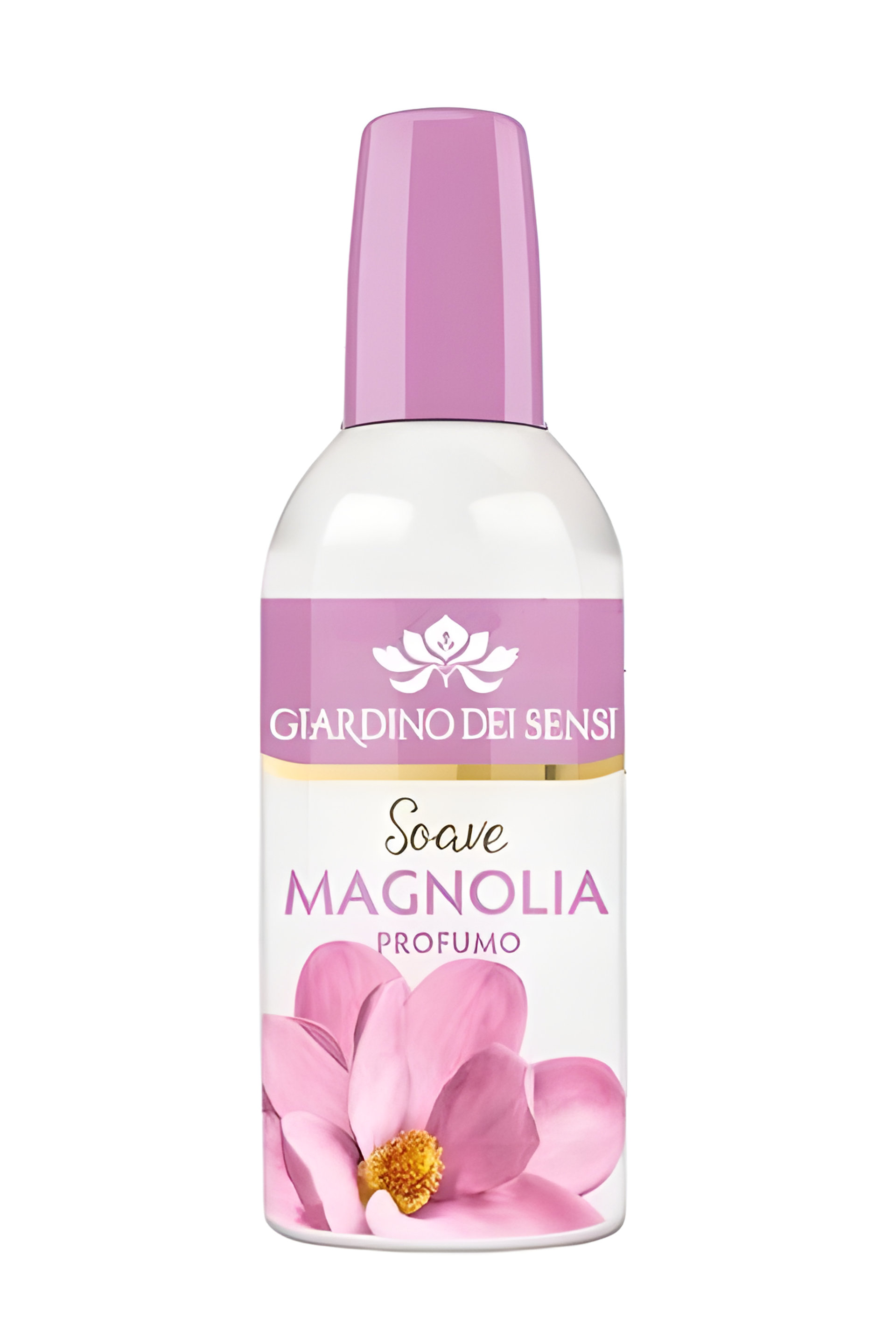 Picture of Soave Magnolia fragrance