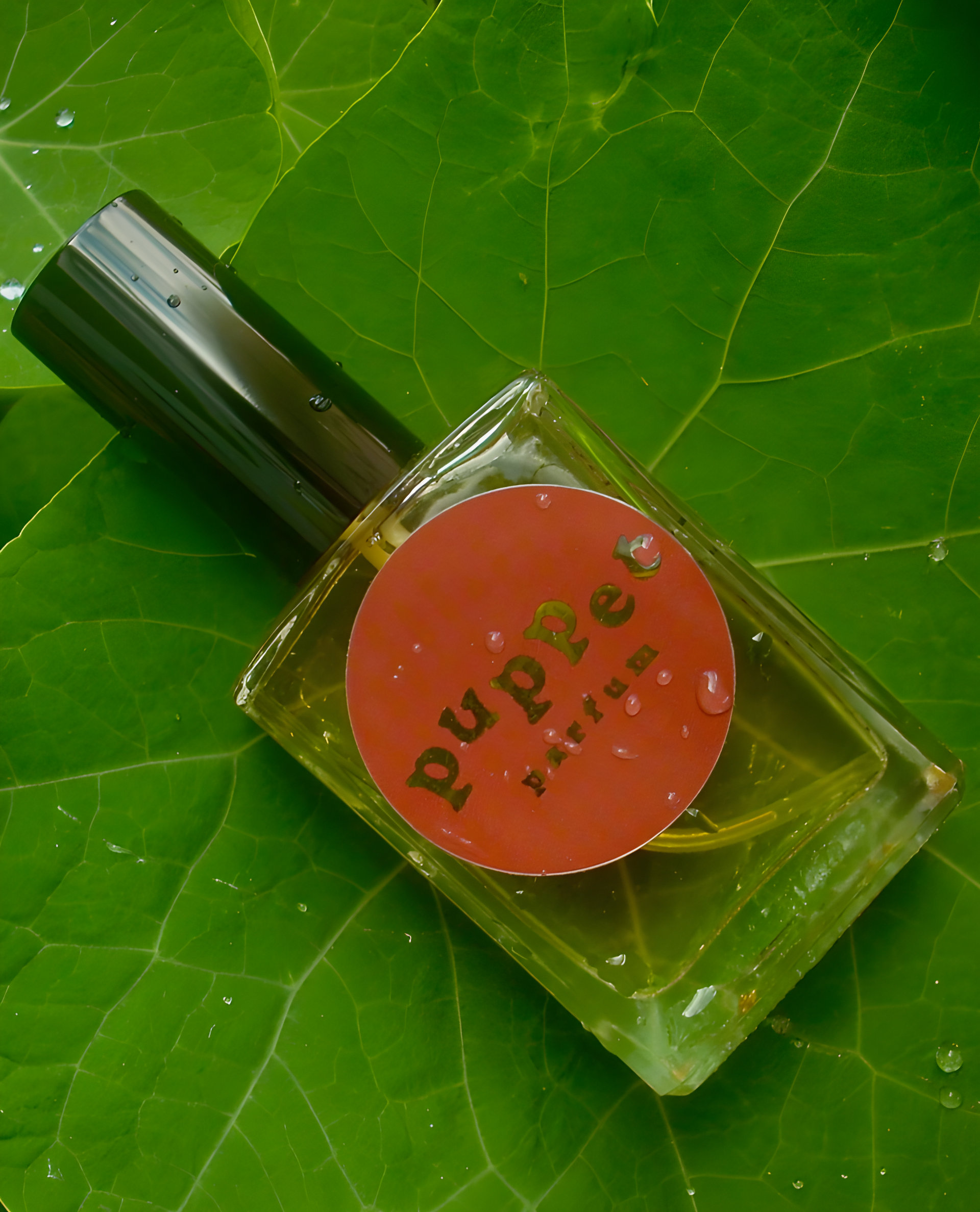 Picture of Haunted Baby fragrance