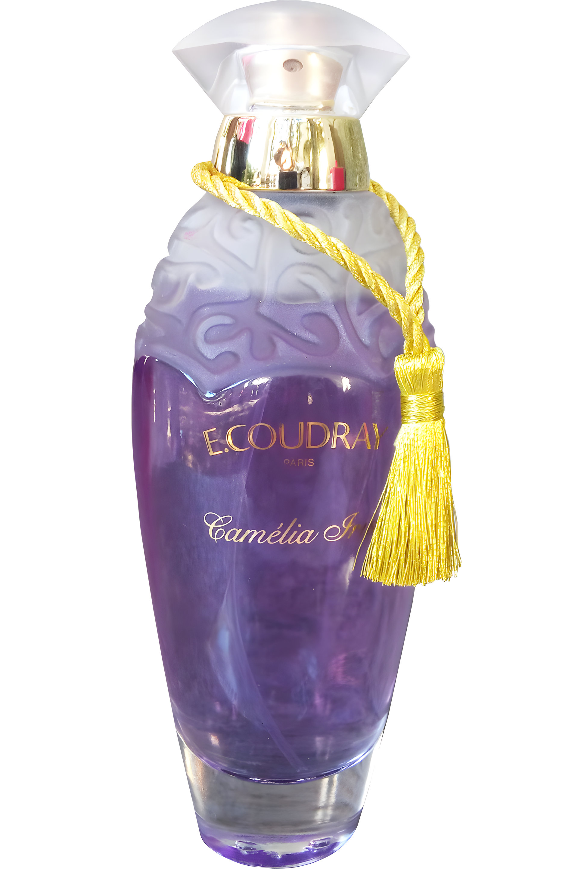 Picture of Camelia Iris fragrance