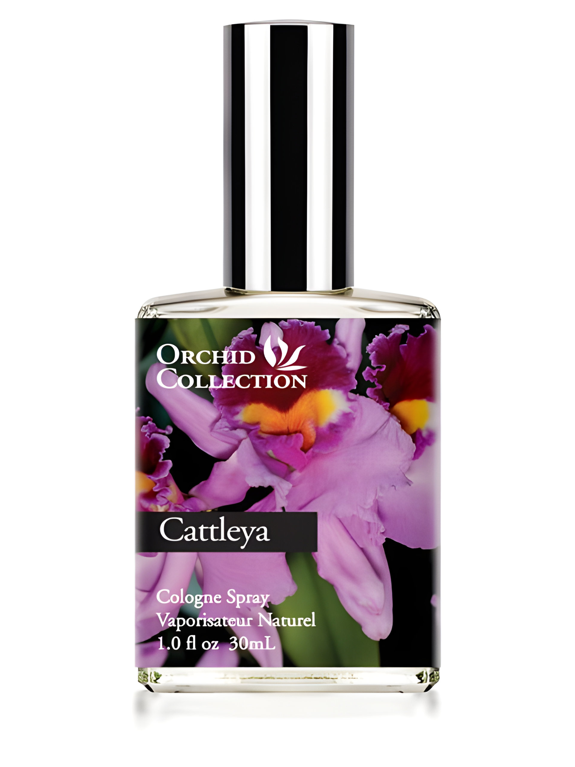 Picture of Cattleya Orchid fragrance