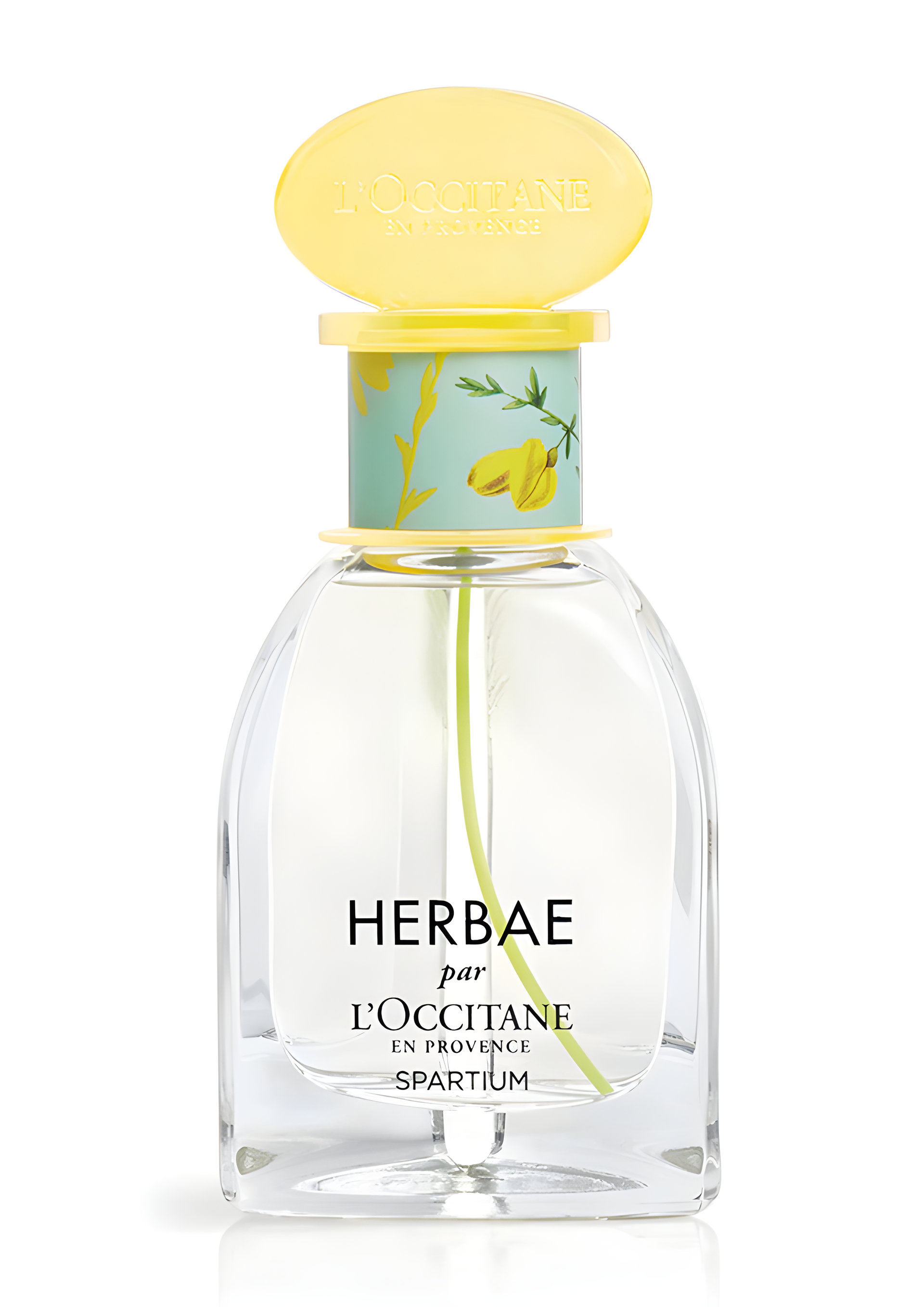 Picture of Herbae Spartium fragrance