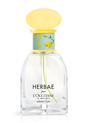 Herbae Spartium by L'Occitane en Provence perfume bottle