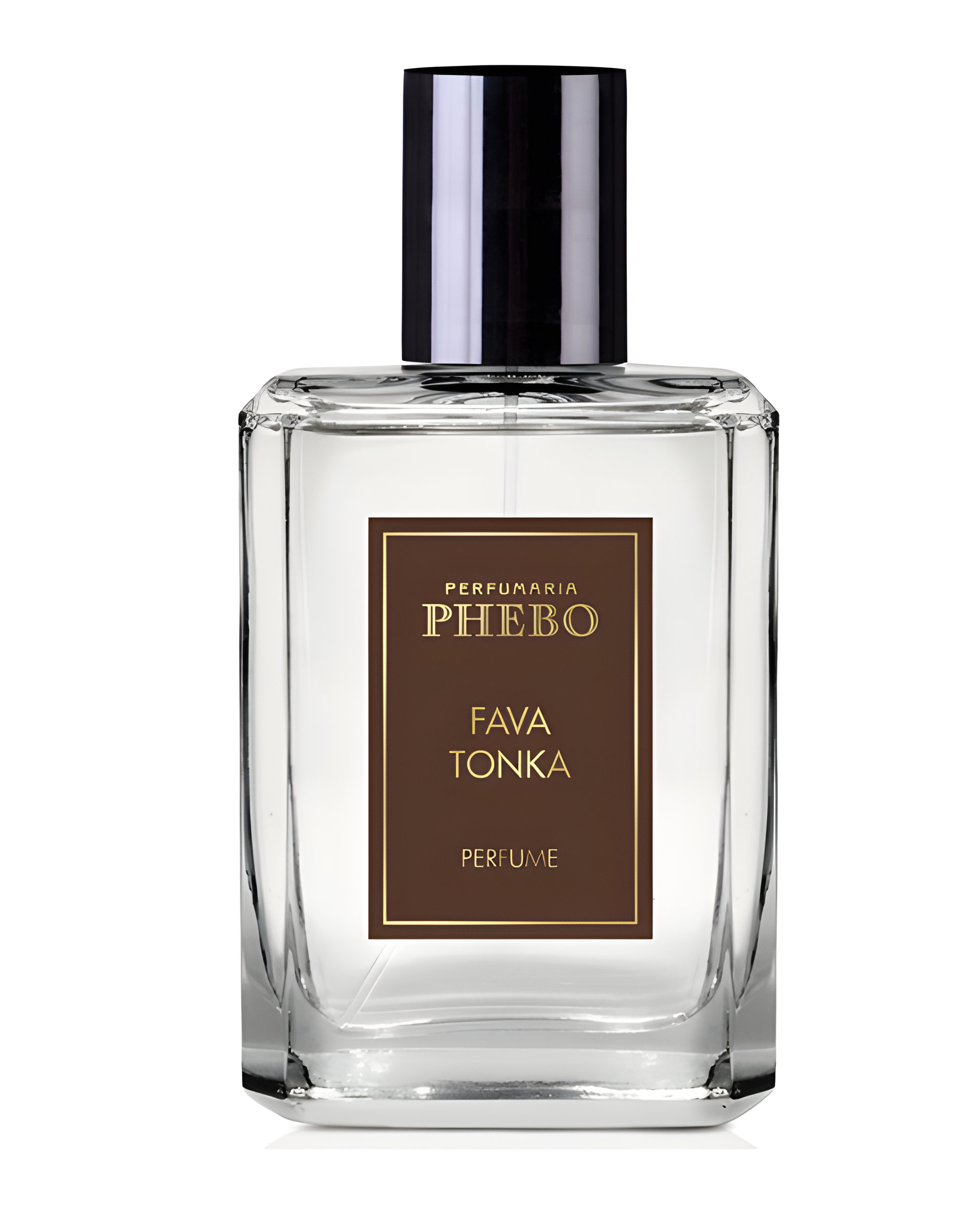Picture of Fava Tonka fragrance